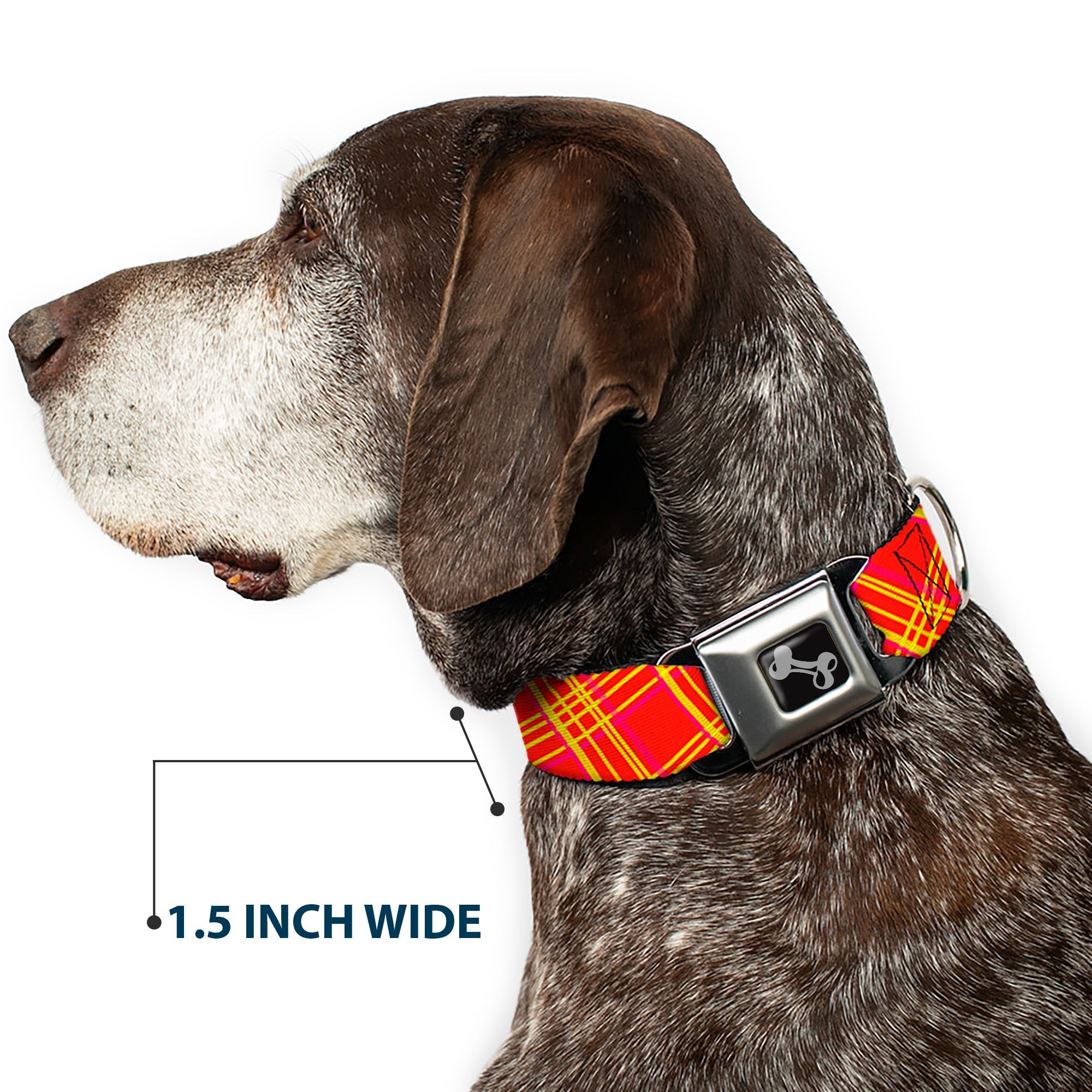 Dog Bone Black/Silver Seatbelt Buckle Collar - Plaid X4 Fluorescent Oranges/Pinks/Yellow