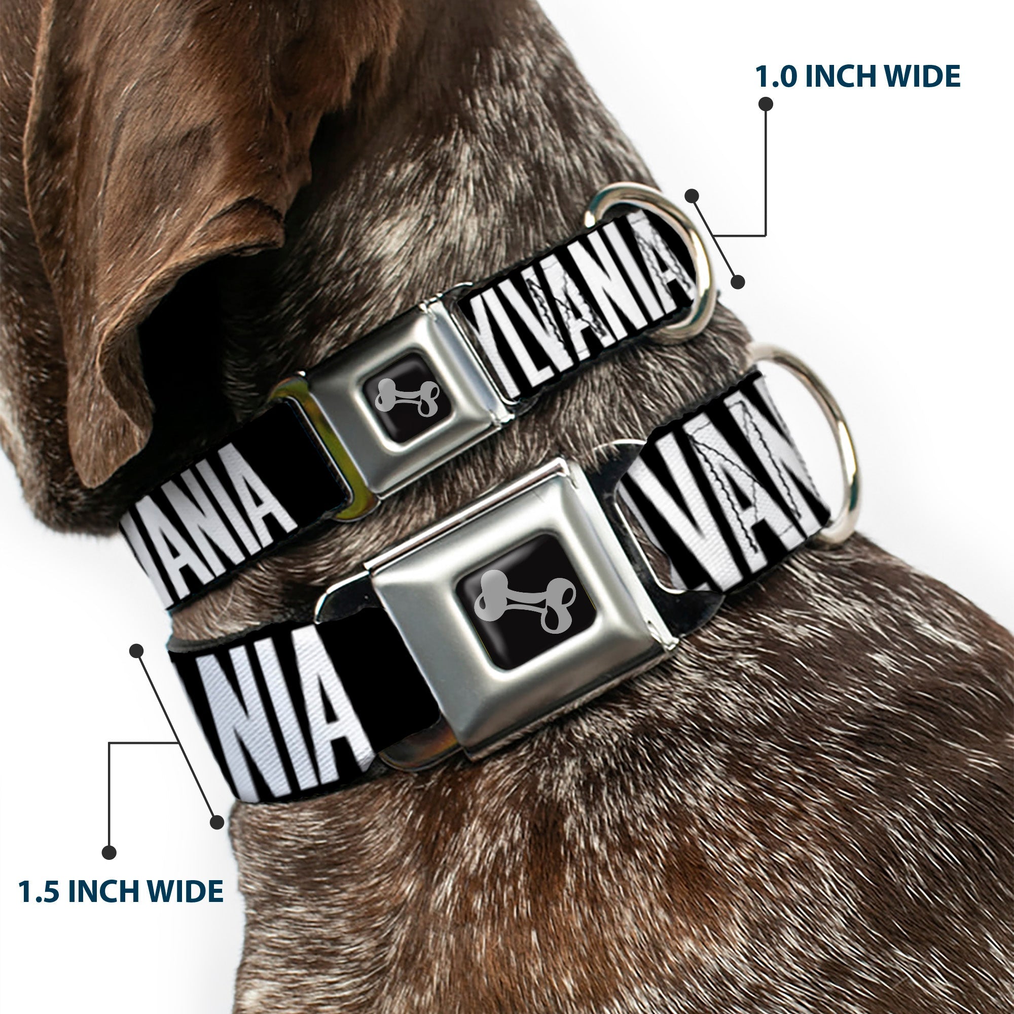 Dog Bone Seatbelt Buckle Collar - Pennsylvania Flag Silhouette WELCOME TO PENNSYLVANIA