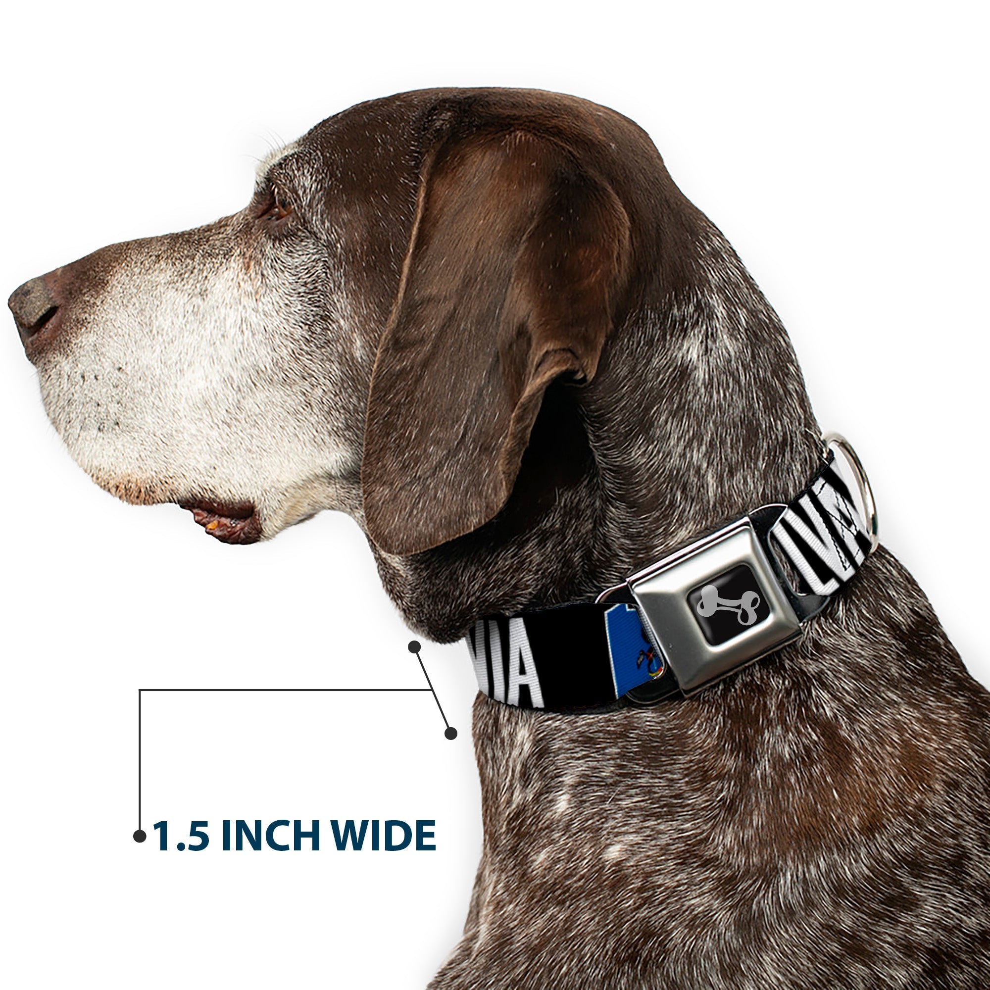 Dog Bone Seatbelt Buckle Collar - Pennsylvania Flag Silhouette WELCOME TO PENNSYLVANIA