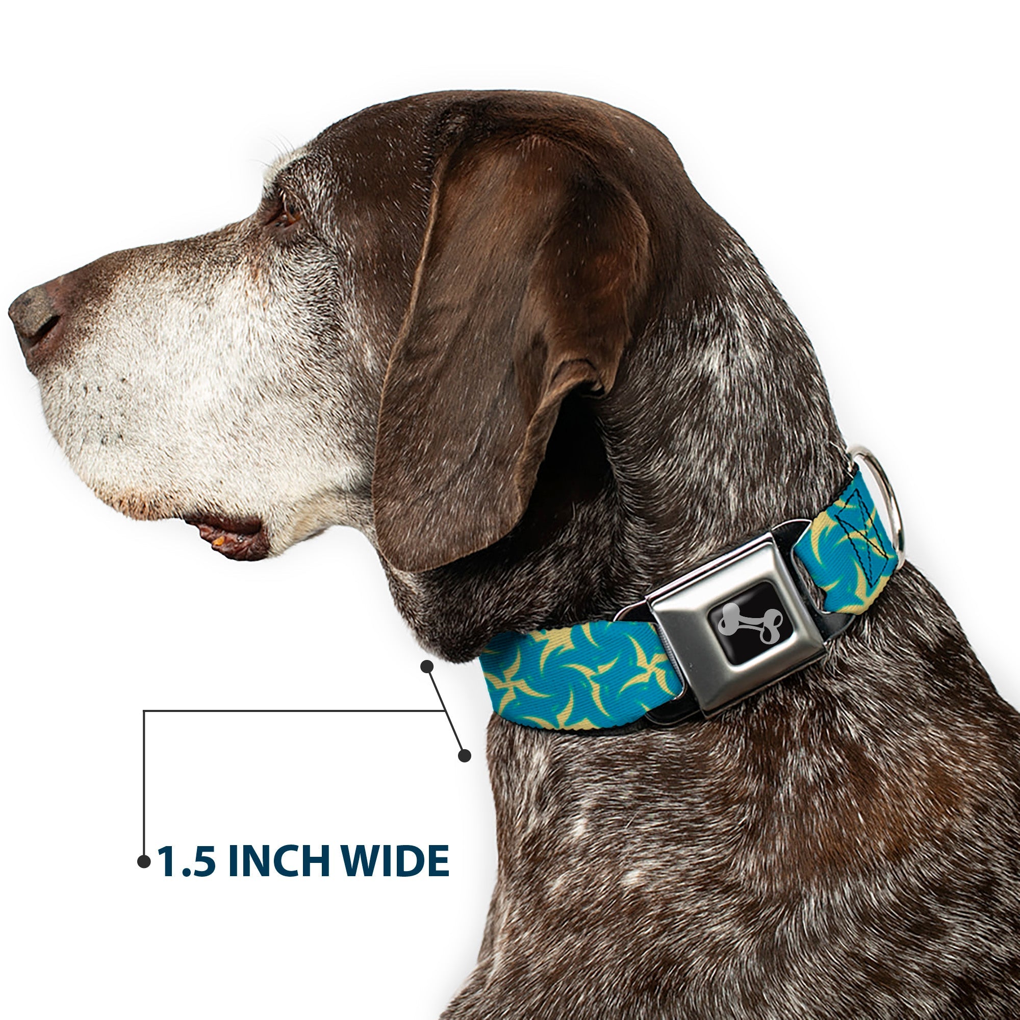 Dog Bone Seatbelt Buckle Collar - Pinwheel Plumes Beige/Turquoise