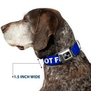 Dog Bone Black/Silver Seatbelt Buckle Collar - Pet Quote DO NOT FEED Navy/White