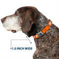 Load image into Gallery viewer, Dog Bone Black/Silver Seatbelt Buckle Collar - Pet Quote DO NOT PET Orange/White
