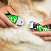 Dog Bone Black/Silver Seatbelt Buckle Collar - Pet Quote FRIENDLY Green/White