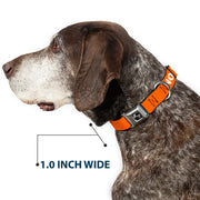 Dog Bone Black/Silver Seatbelt Buckle Collar - Pet Quote NO DOGS Orange/White