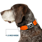 Dog Bone Black/Silver Seatbelt Buckle Collar - Pet Quote NO DOGS Orange/White