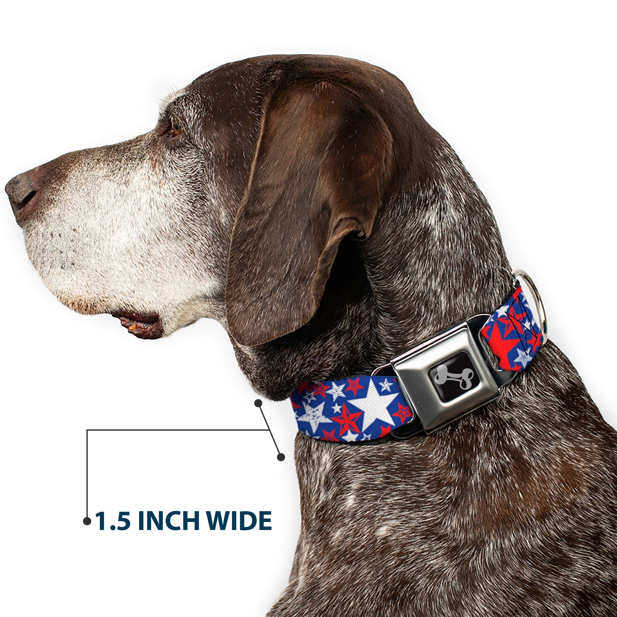 Dog Bone Seatbelt Buckle Collar - Stargazer Blue/White/Red