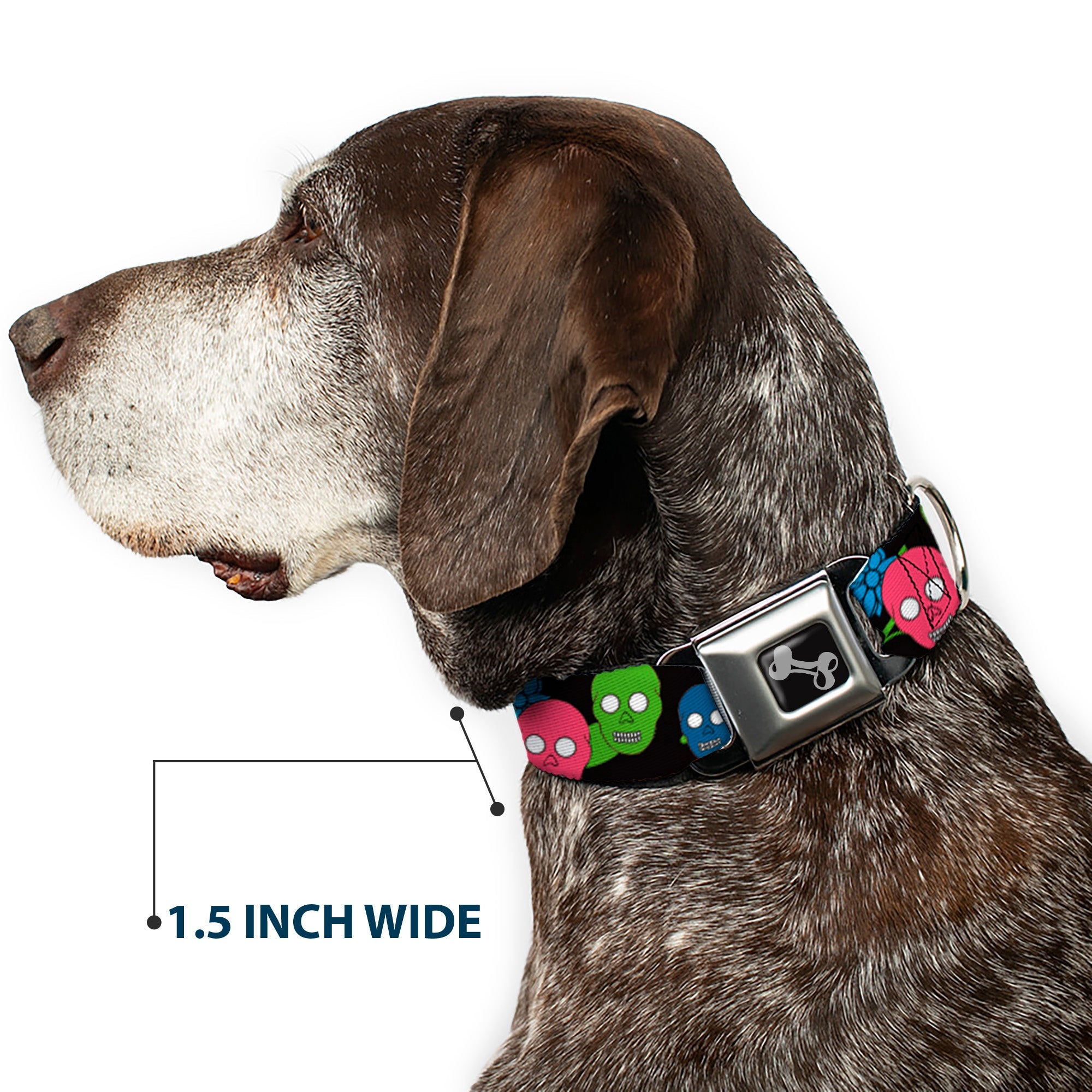 Dog Bone Seatbelt Buckle Collar - Skulls & Flowers Black/Multi Color