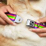 Dog Bone Seatbelt Buckle Collar - Stripes Purple/Orange/Green/Yellow/Pink/Blue