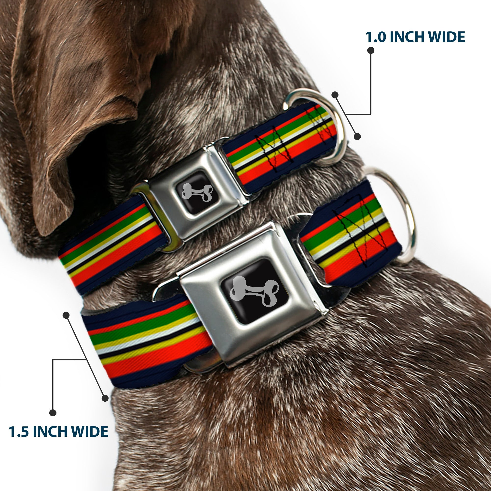 Dog Bone Seatbelt Buckle Collar - Stripes Navy/Red/Yellow/Black/White/Green