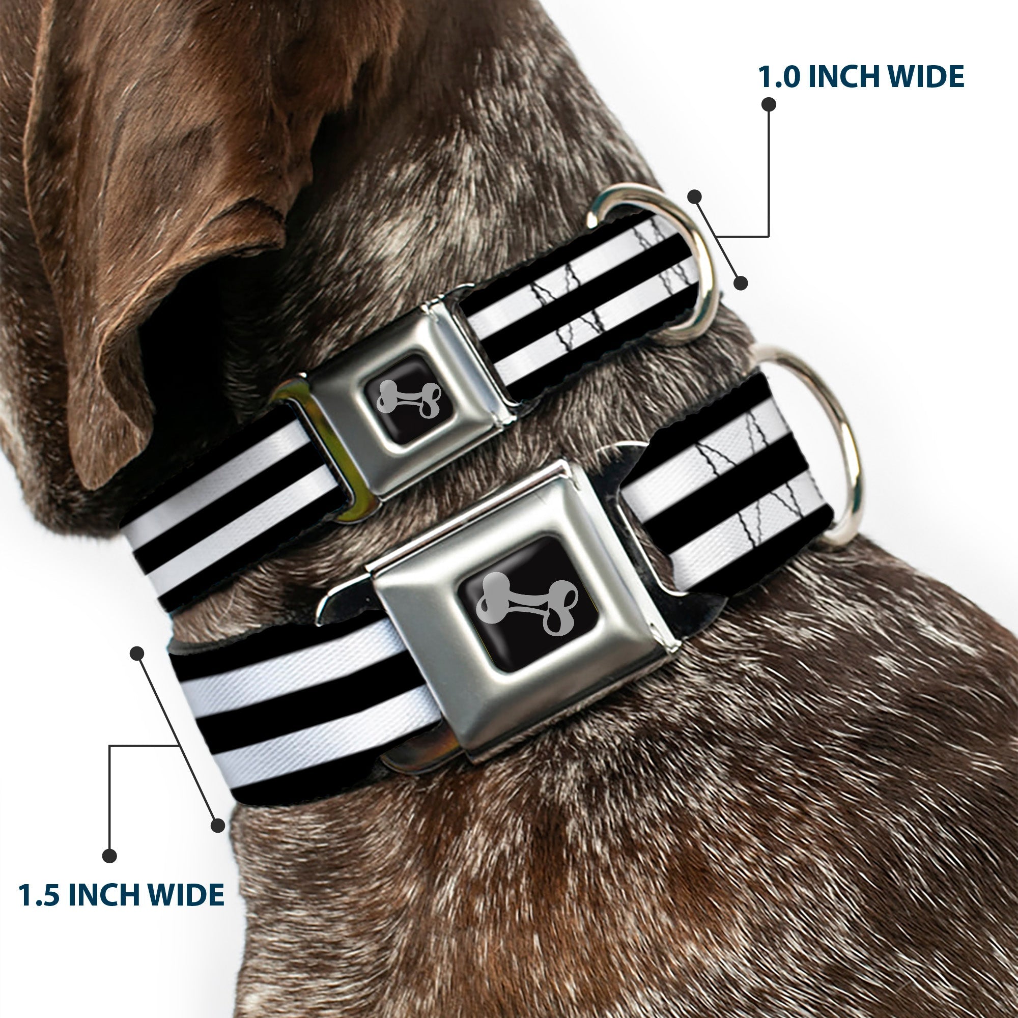 Dog Bone Seatbelt Buckle Collar - Stripes 3Black/2White