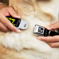 Load image into Gallery viewer, Dog Bone Seatbelt Buckle Collar - STEEZ Brushed Black/Yellow
