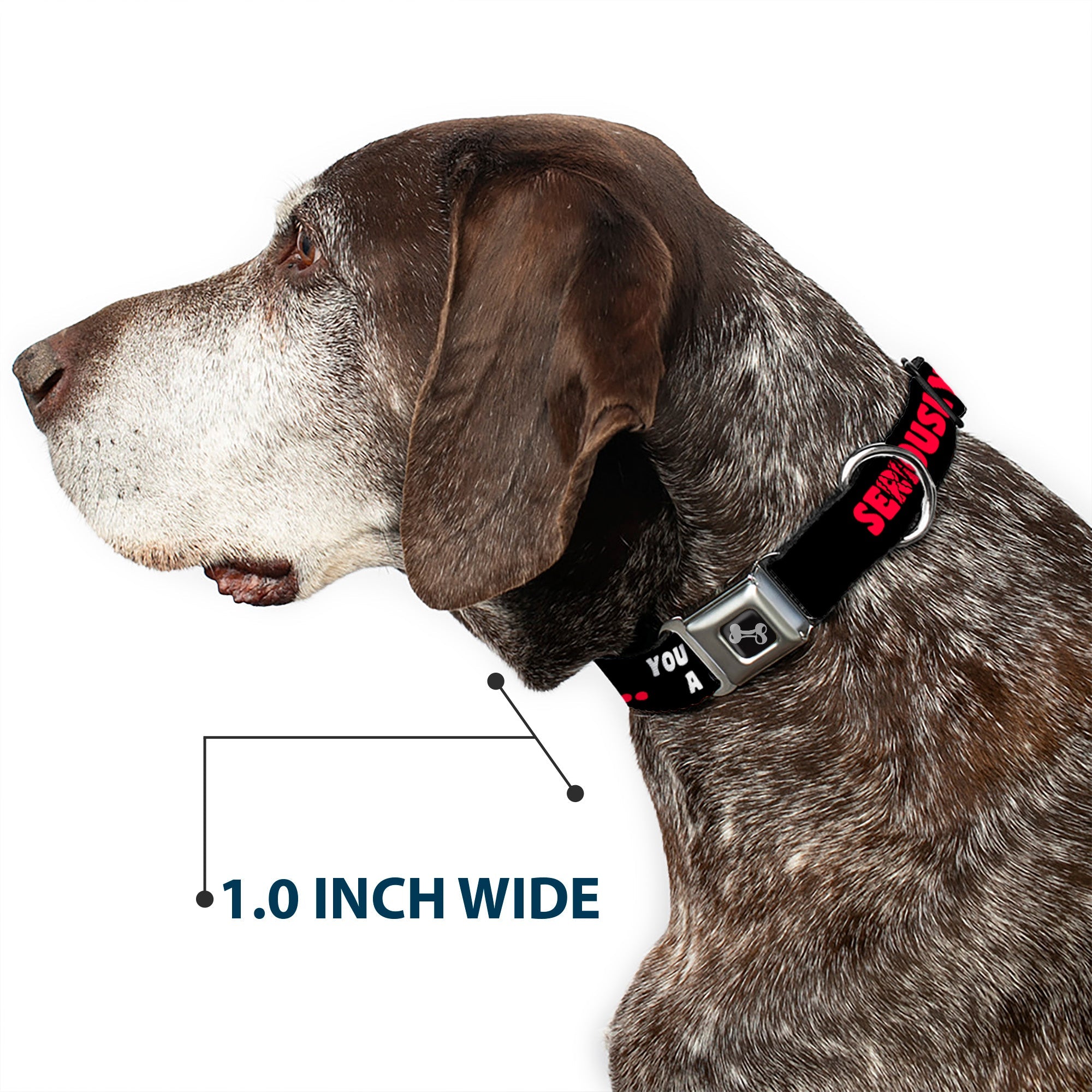 Dog Bone Seatbelt Buckle Collar - SERIOUSLYâ€¦YOU DON'T HAVE A CHANCE Black/Red/White