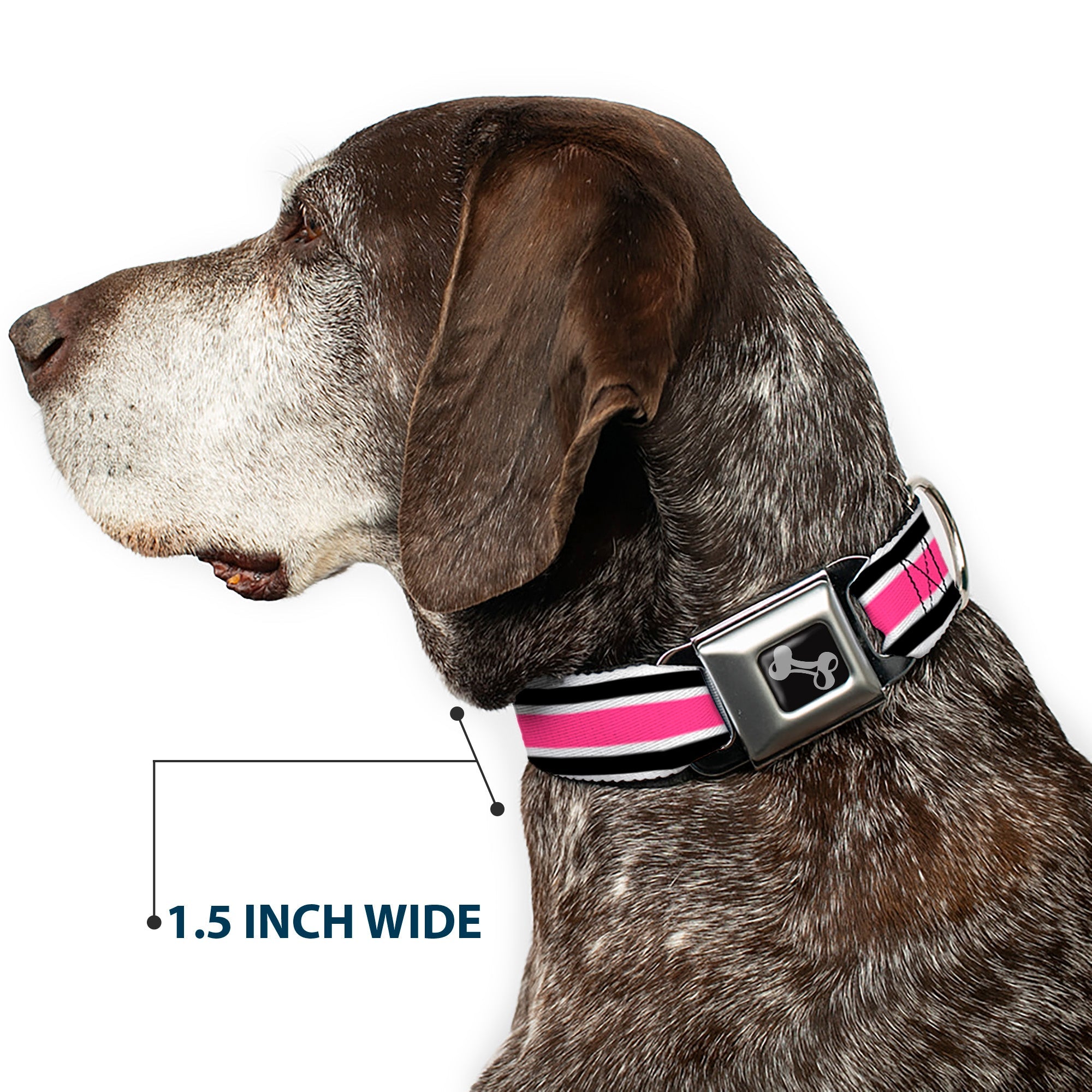 Dog Bone Seatbelt Buckle Collar - Stripes White/Black/White/Pink