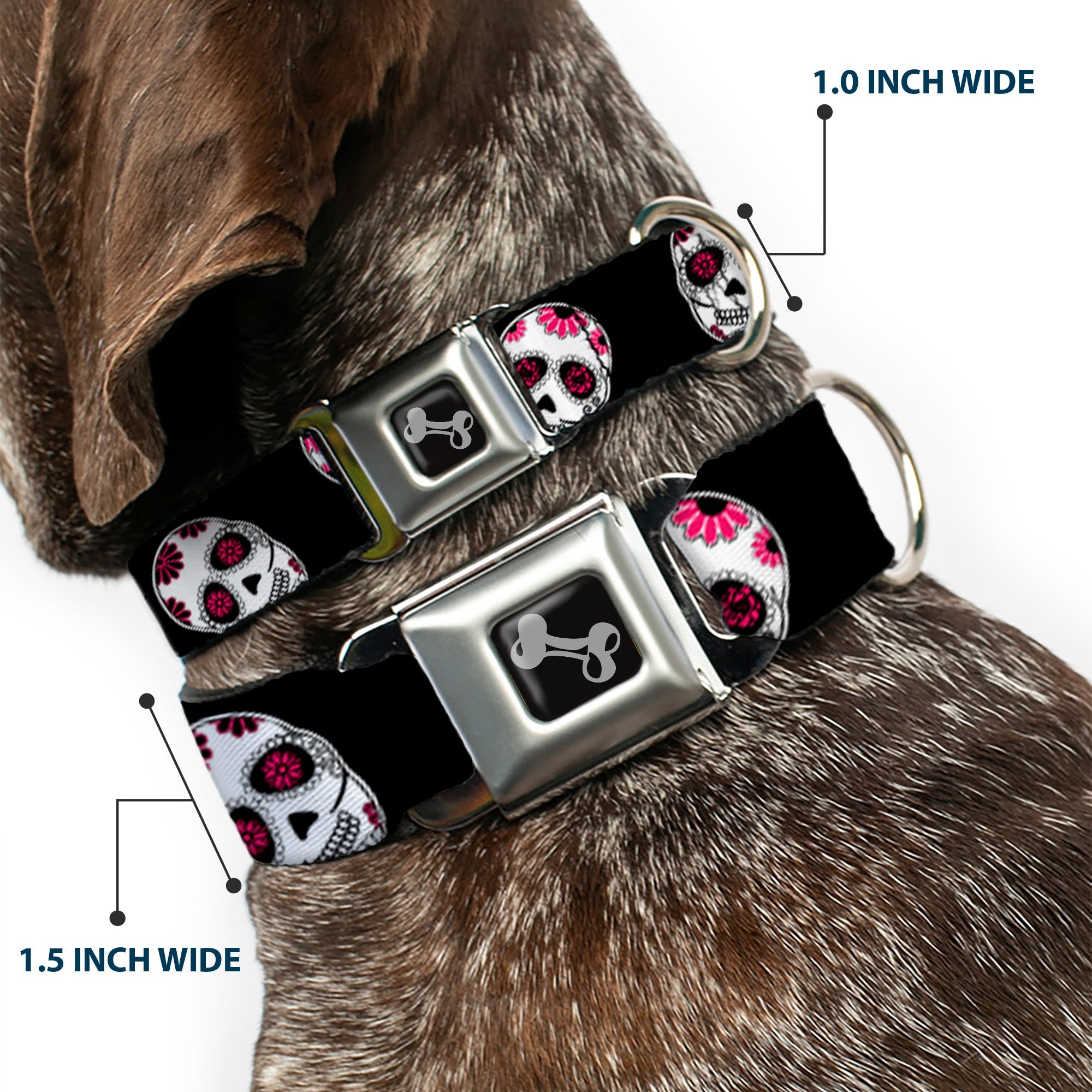 Dog Bone Seatbelt Buckle Collar - Sugar Skulls Scattered Black/White/Fuchsia