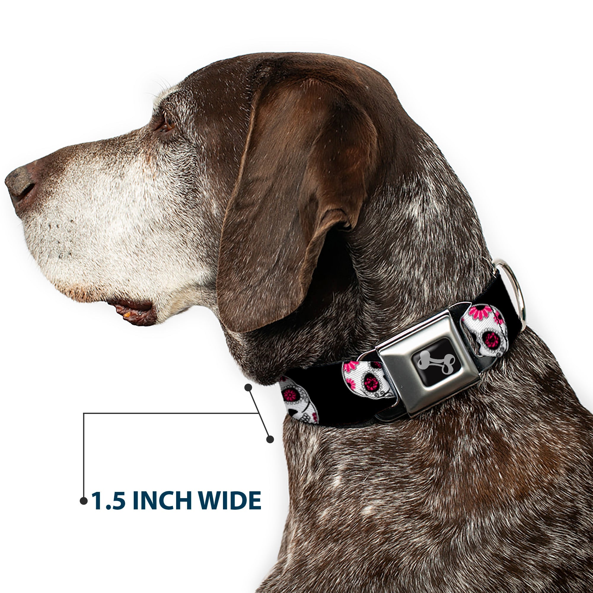 Dog Bone Seatbelt Buckle Collar - Sugar Skulls Scattered Black/White/Fuchsia