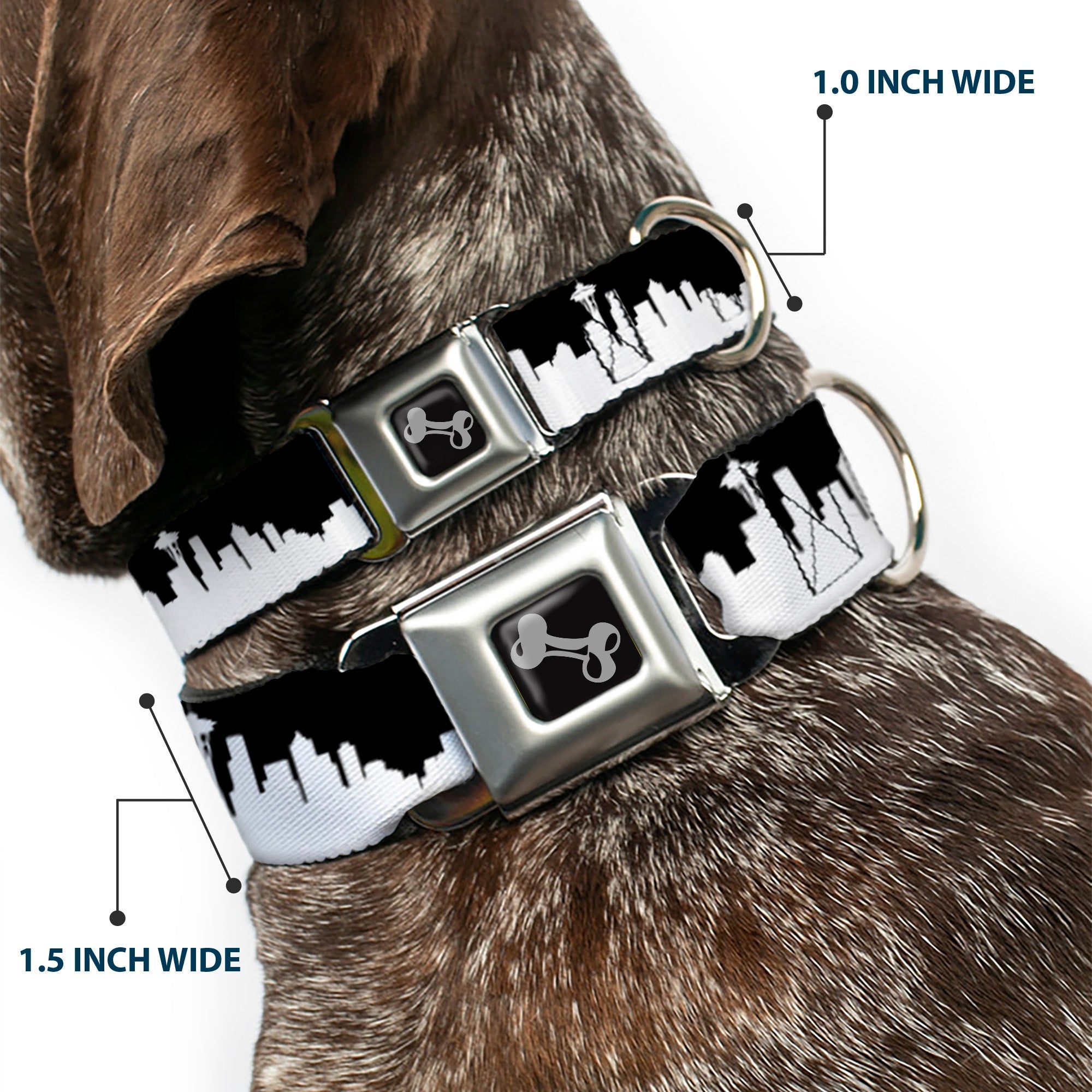 Dog Bone Seatbelt Buckle Collar - Seattle Solid Skyline Black/White