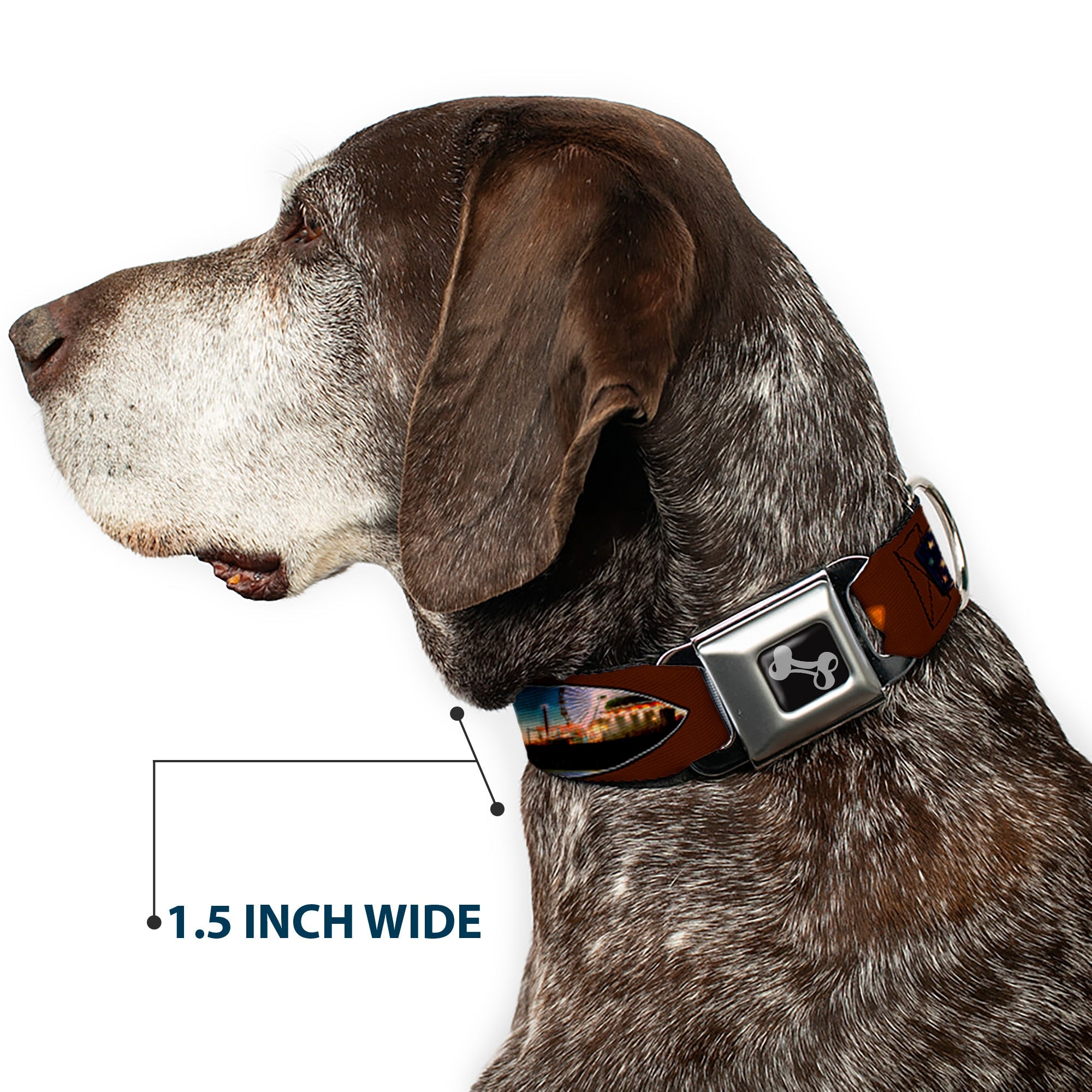 Dog Bone Seatbelt Buckle Collar - Surfboard Cali Scenes/US Flag Brown