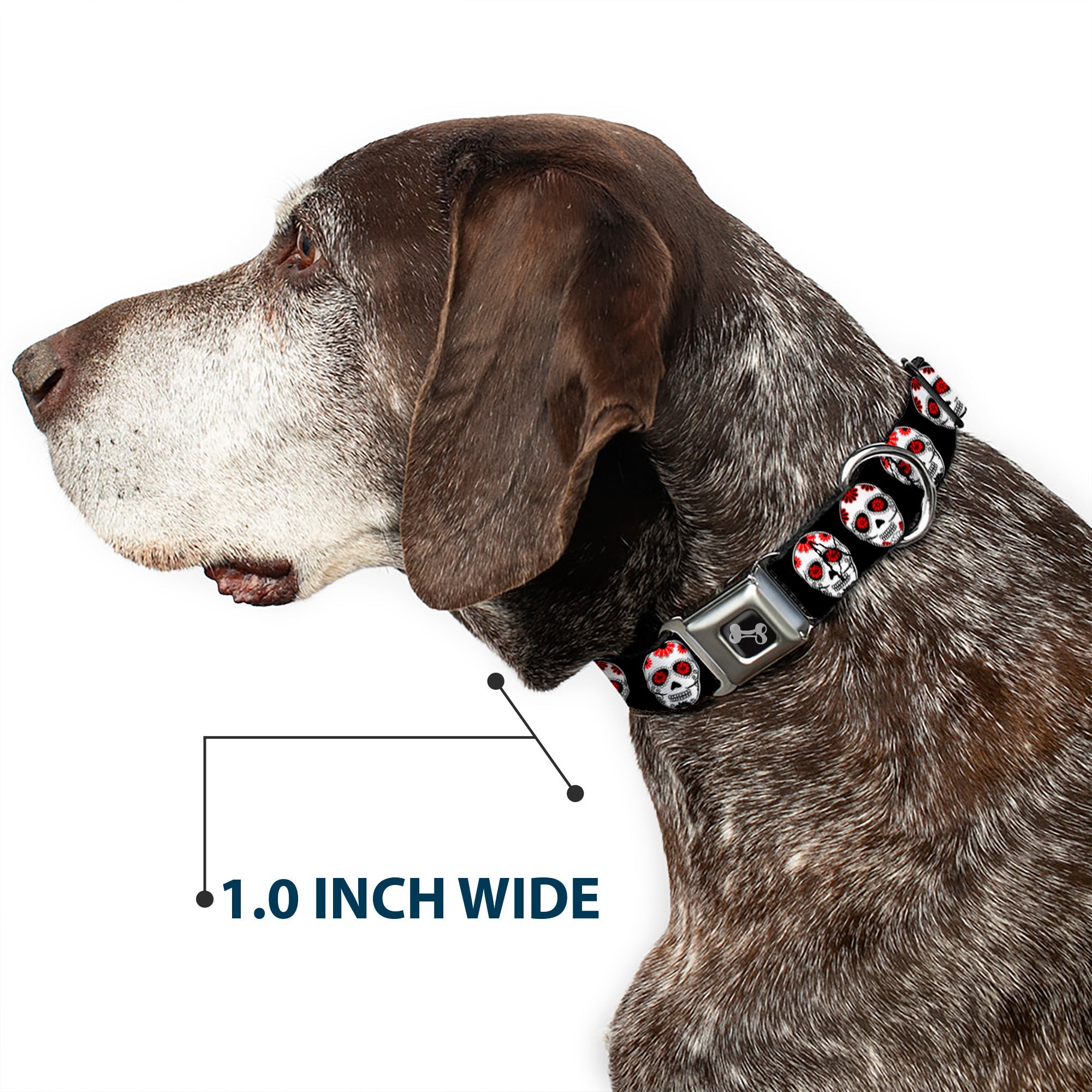 Dog Bone Seatbelt Buckle Collar - Sugar Skulls Black/White/Red