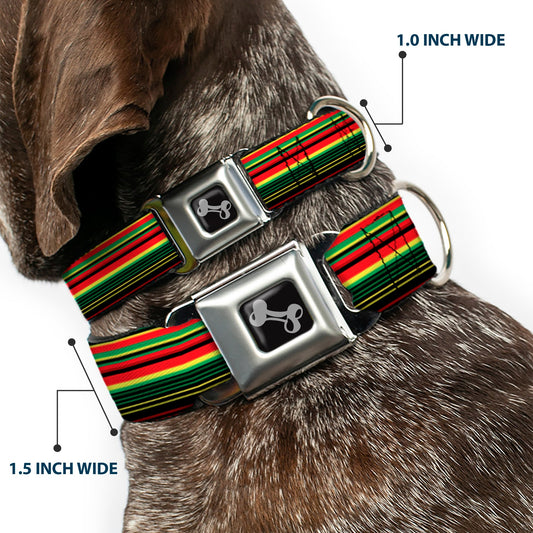Dog Bone Seatbelt Buckle Collar - Stripe Transitions Black/Red/Green/Yellow