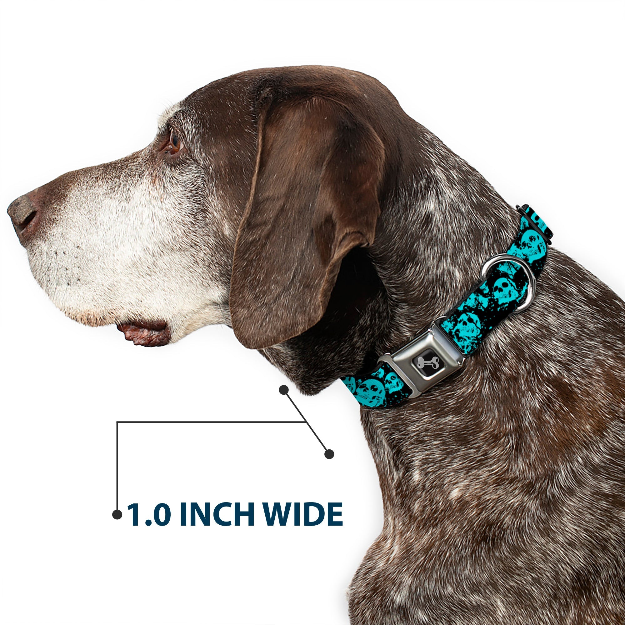 Dog Bone Seatbelt Buckle Collar - Skulls Stacked Weathered Black/Teal