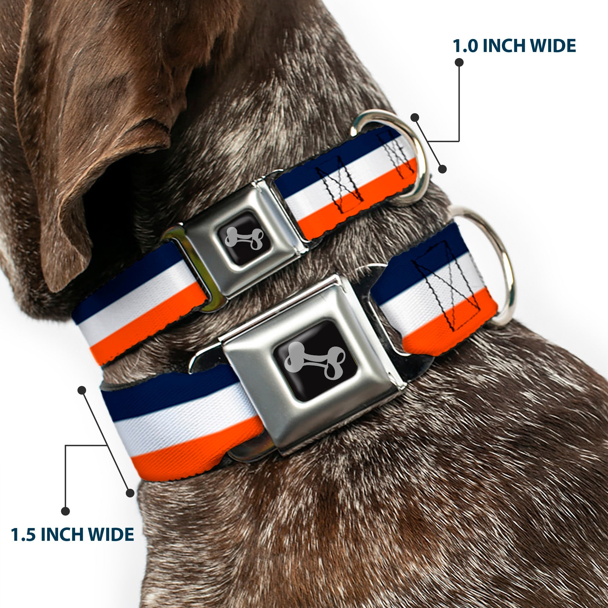 Dog Bone Seatbelt Buckle Collar - Stripe Navy/White/Orange
