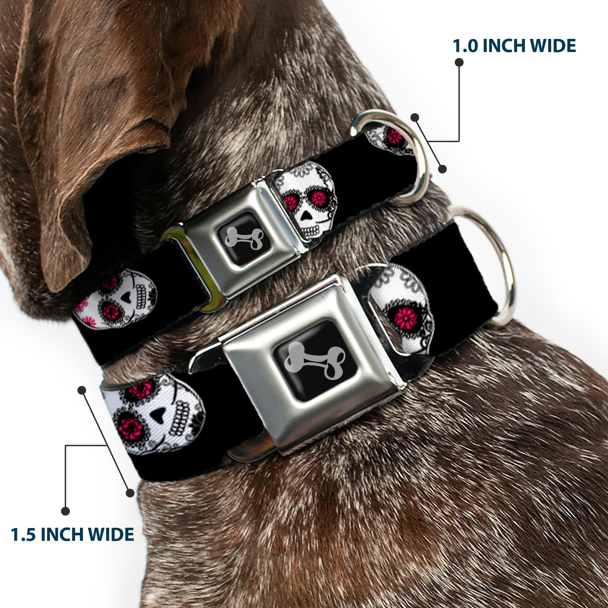 Dog Bone Seatbelt Buckle Collar - Staggered Sugar Skulls Black/White/Pink