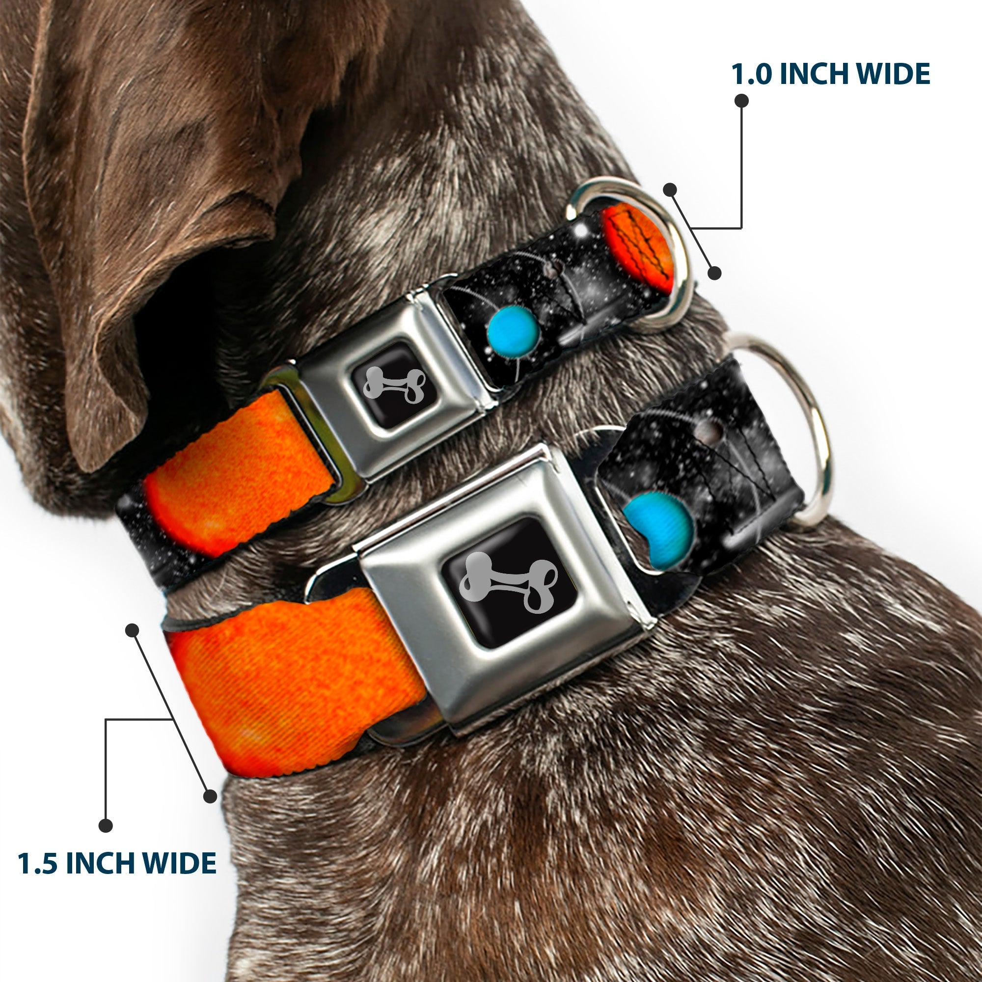Dog Bone Seatbelt Buckle Collar - Solar System Sun/Planets/Stars
