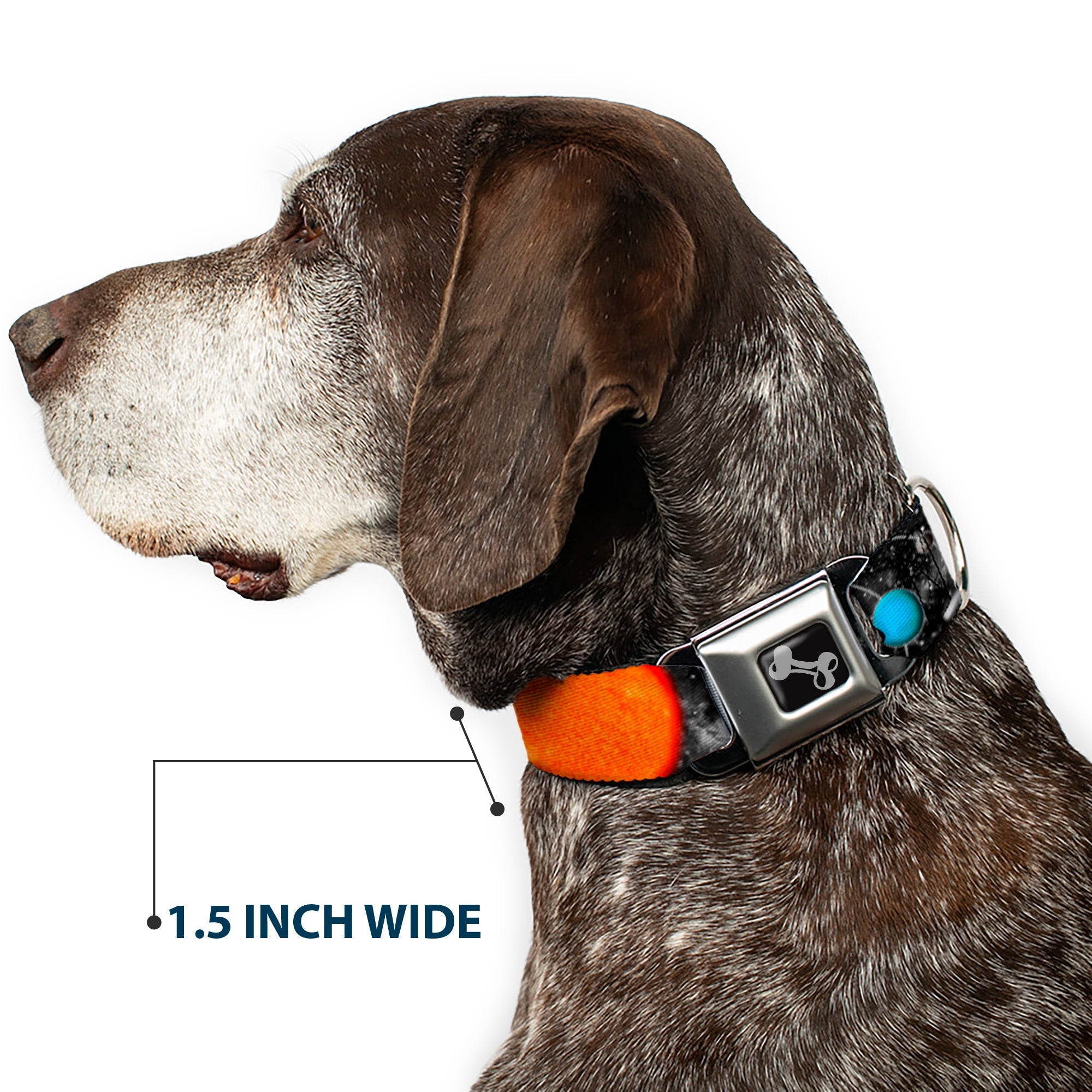 Dog Bone Seatbelt Buckle Collar - Solar System Sun/Planets/Stars