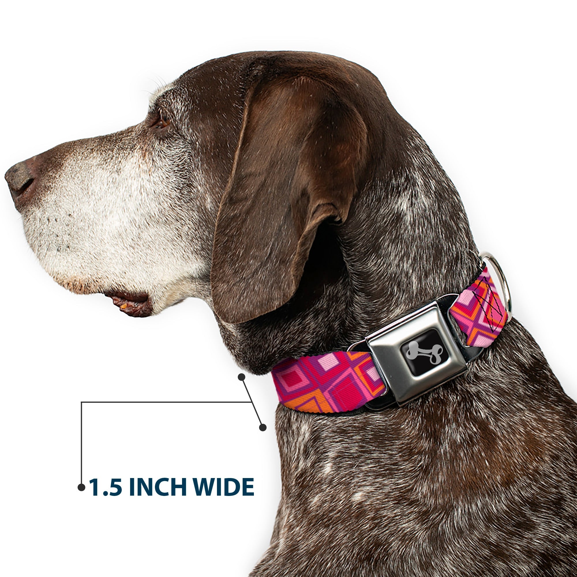 Dog Bone Seatbelt Buckle Collar - Skewed Squares Stacked Purple/Orange/Pinks