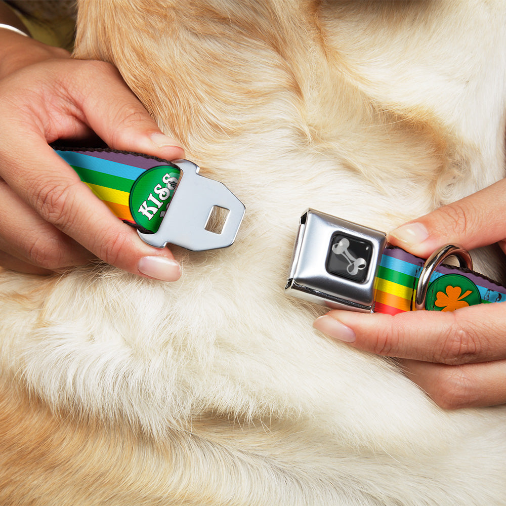 Dog Bone Seatbelt Buckle Collar - St. Pat's Rainbow/Coins