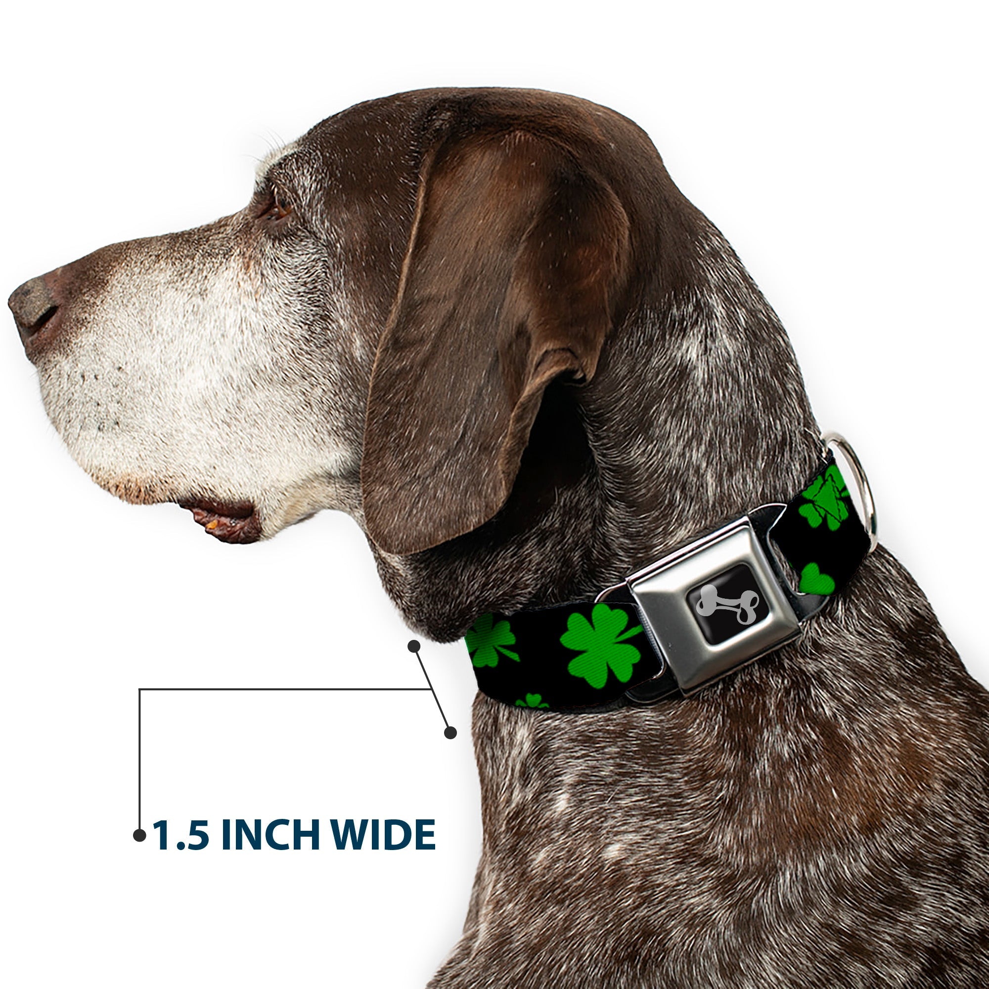 Dog Bone Seatbelt Buckle Collar - St. Pat's Clovers Scattered2 Black/Green