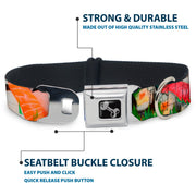 Dog Bone Seatbelt Buckle Collar - Sushi Vivid