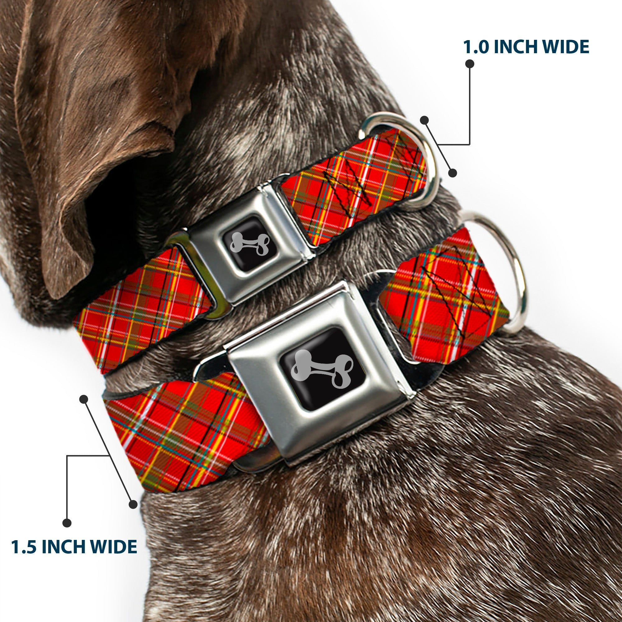 Dog Bone Seatbelt Buckle Collar - Tartan Plaid2 Red/Green/Yellow