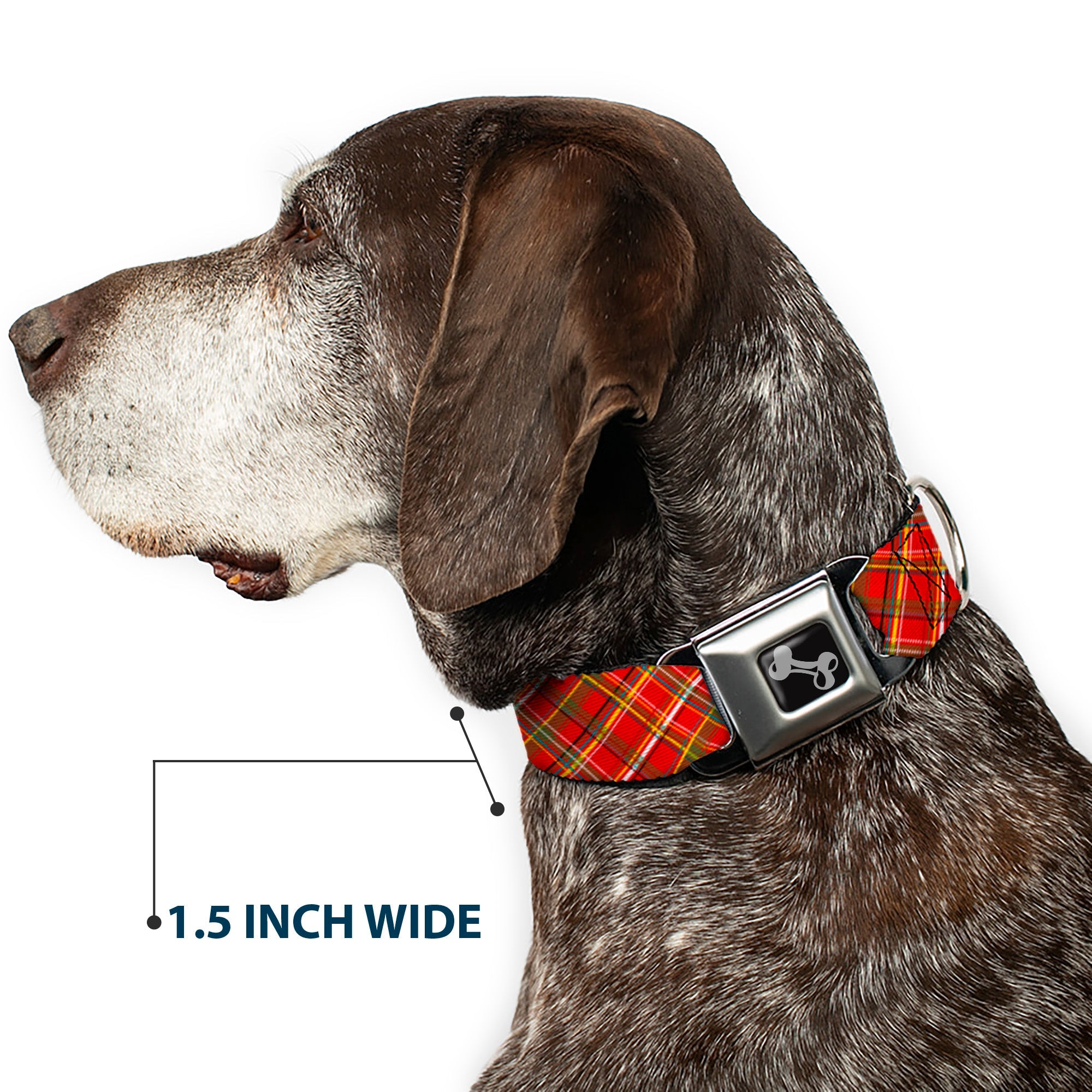 Dog Bone Seatbelt Buckle Collar - Tartan Plaid2 Red/Green/Yellow