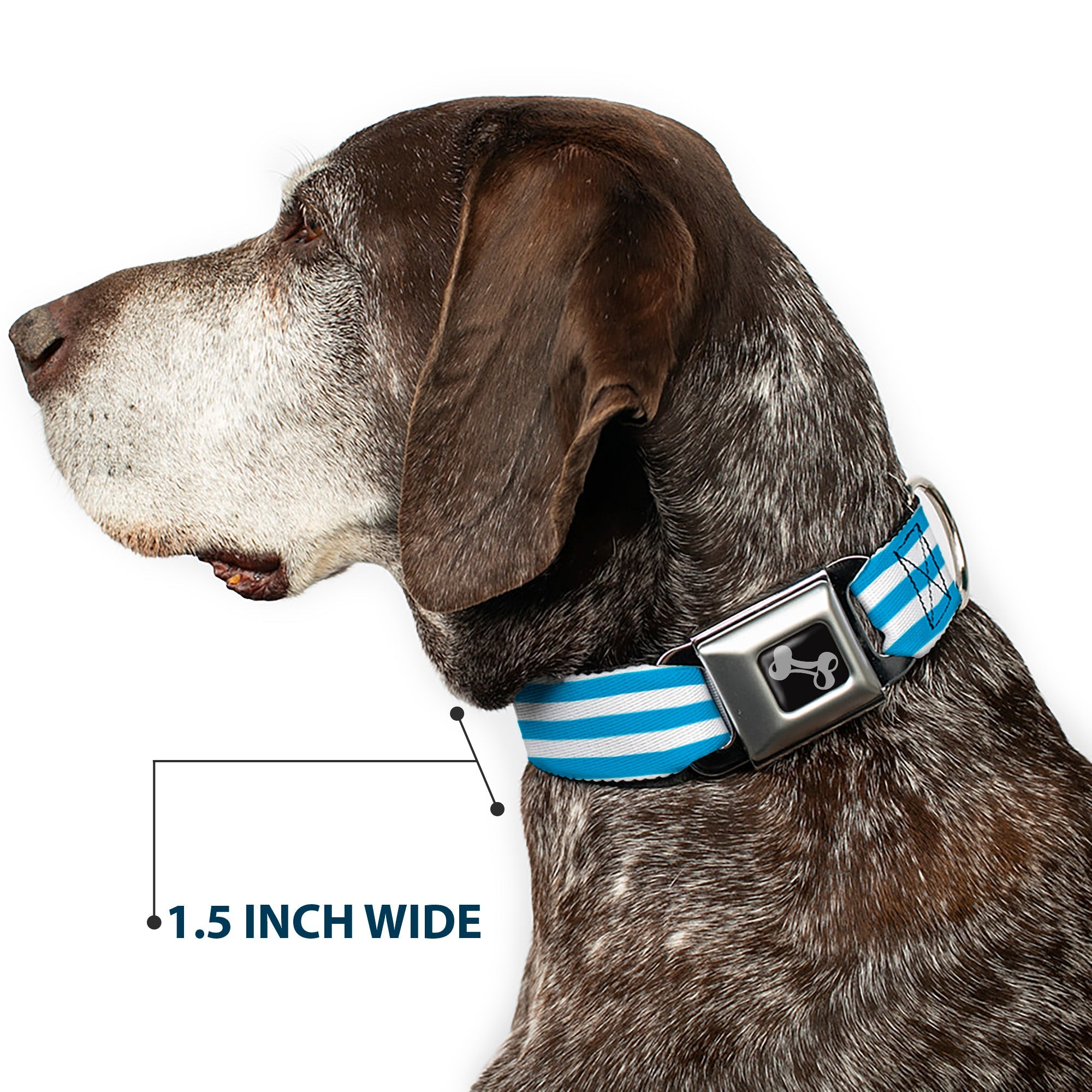 Dog Bone Seatbelt Buckle Collar - Triple Stripe White/Blue
