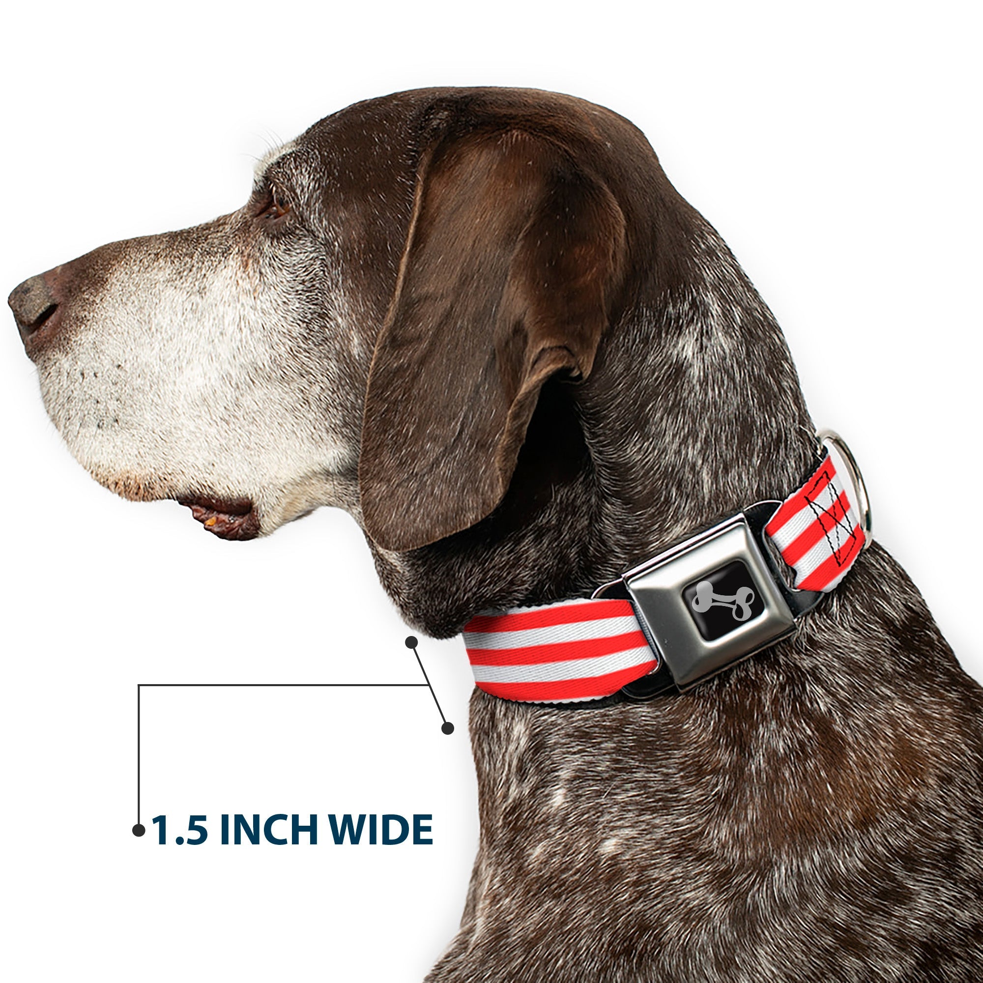 Dog Bone Seatbelt Buckle Collar - Triple Stripe White/Red