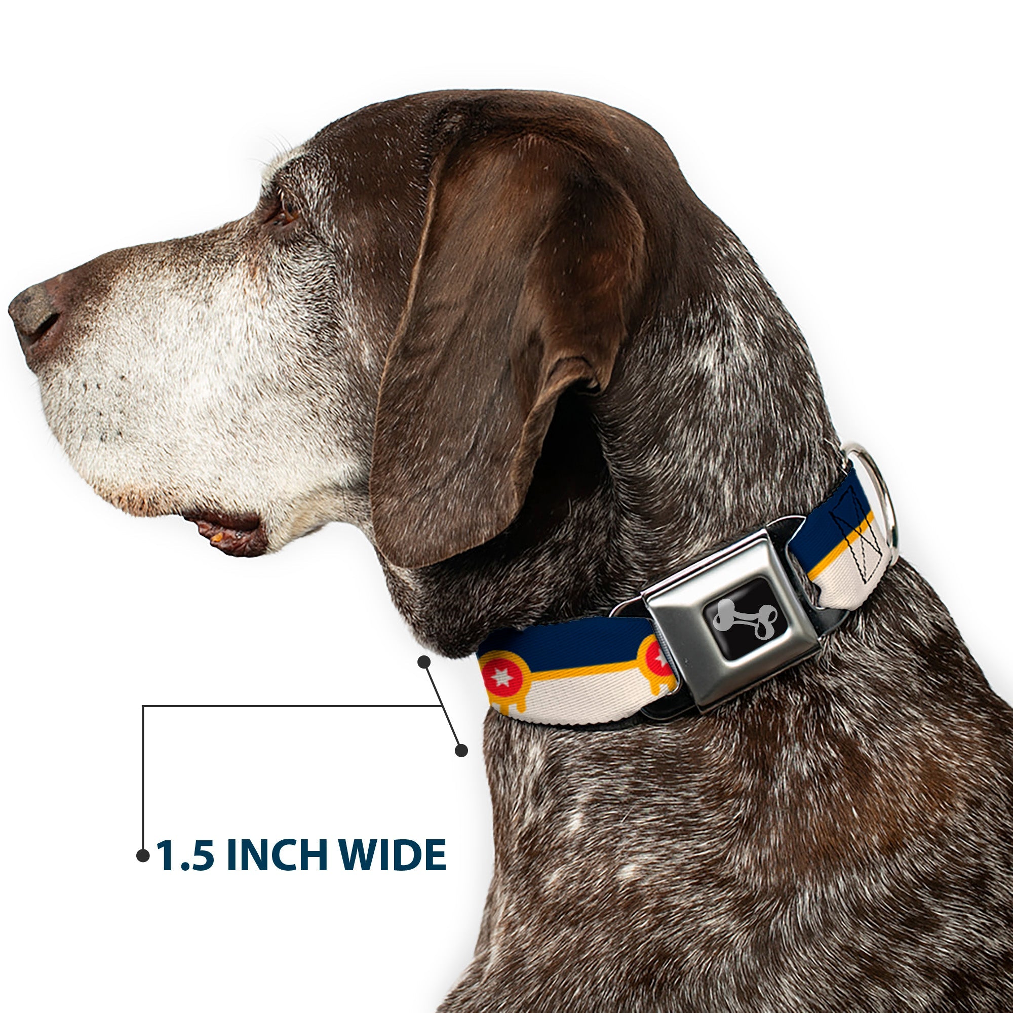 Dog Bone Black/Silver Seatbelt Buckle Collar - Tulsa Oklahoma City Flag Navy Blue/Gold/Red/Beige