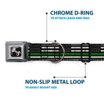 Dog Bone Black/Silver Seatbelt Buckle Collar - Thin Green Line Flag Weathered Black/Gray/Green