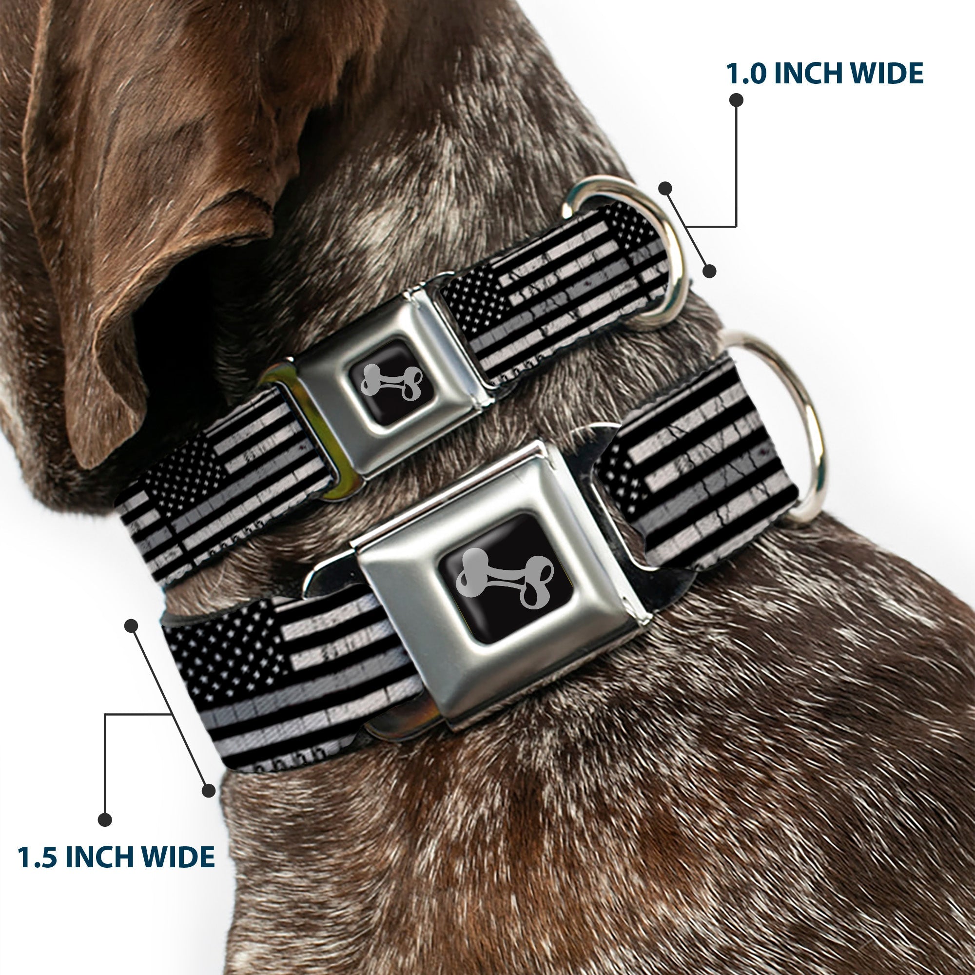 Dog Bone Black/Silver Seatbelt Buckle Collar - Thin Gray Line Flag Weathered Black/Grays