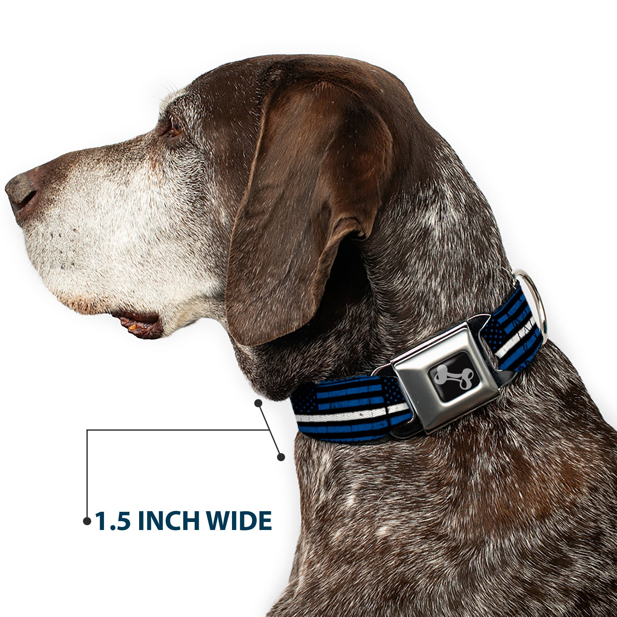 Dog Bone Black/Silver Seatbelt Buckle Collar - Thin White Line Flag Weathered Black/Blue/White