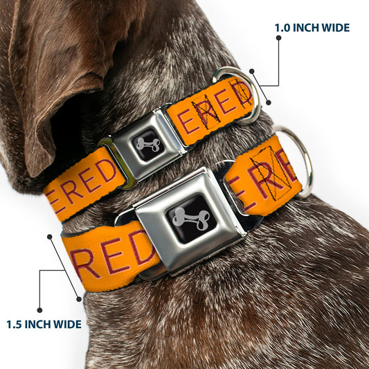 Dog Bone Black/Silver Seatbelt Buckle Collar - TRIGGERED Orange/Burgundy