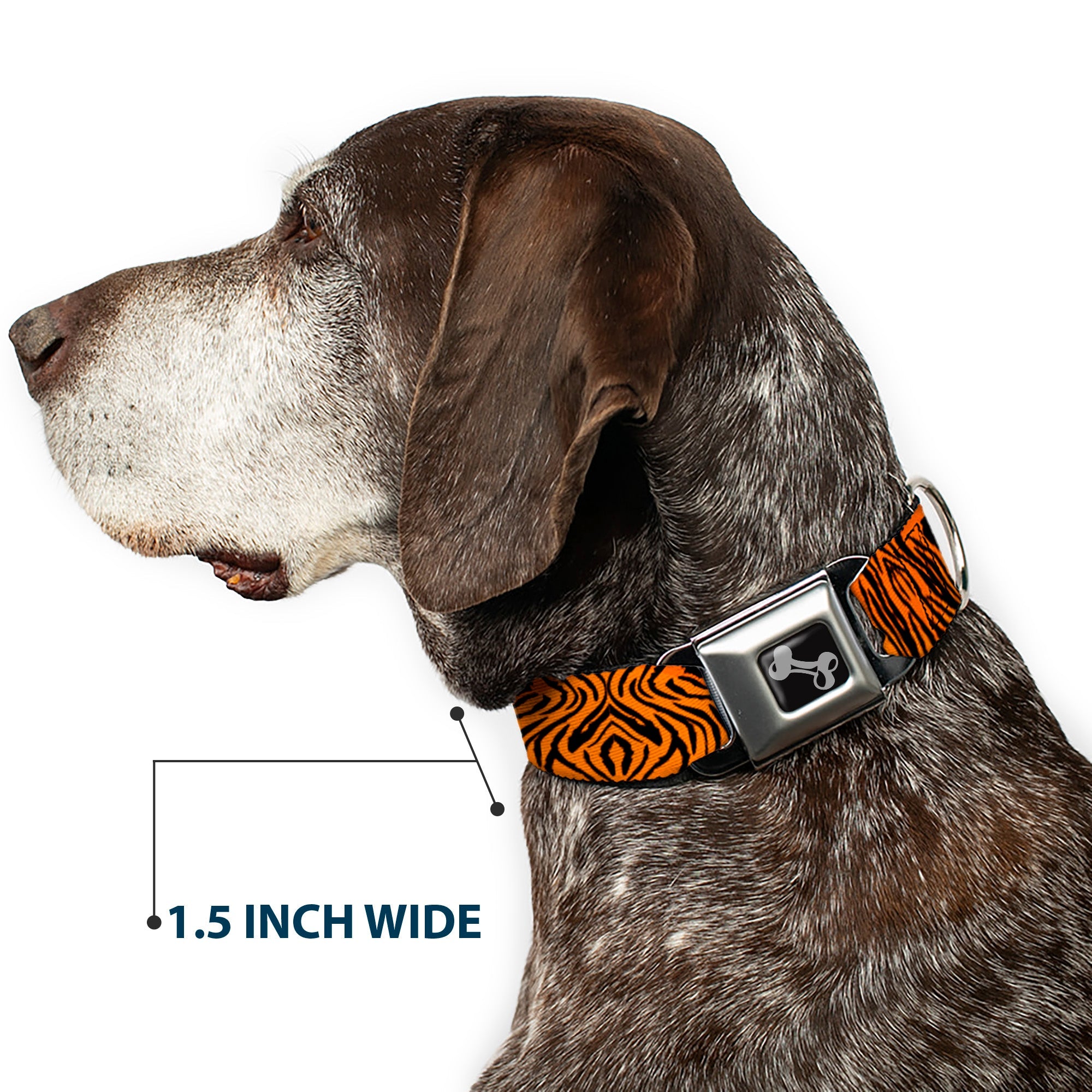 Dog Bone Black/Silver Seatbelt Buckle Collar - Tiger2 Orange/Black
