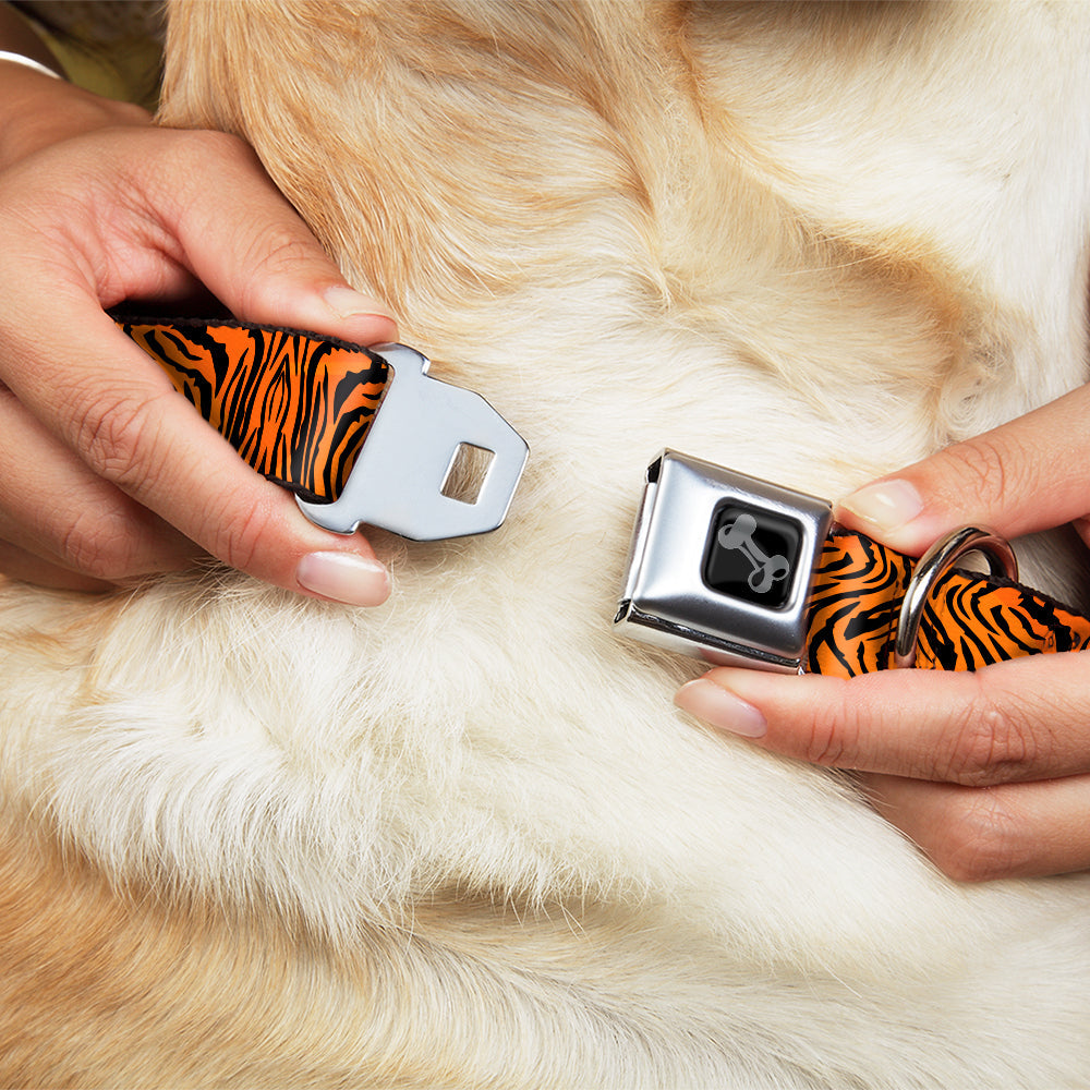 Dog Bone Black/Silver Seatbelt Buckle Collar - Tiger2 Orange/Black