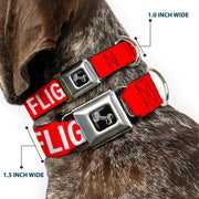 Dog Bone Black/Silver Seatbelt Buckle Collar - Buckle-Down REMOVE BEFORE FLIGHT Red/White