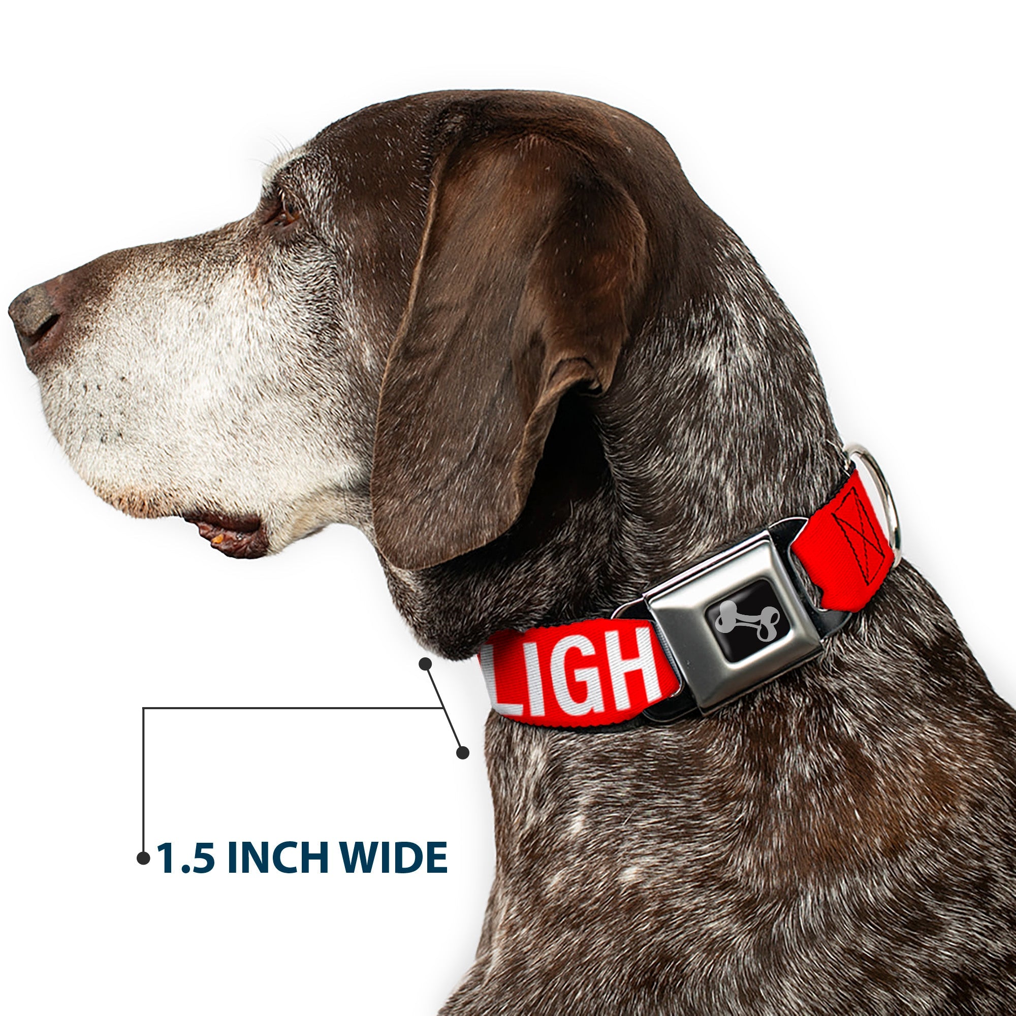 Dog Bone Black/Silver Seatbelt Buckle Collar - Buckle-Down REMOVE BEFORE FLIGHT Red/White