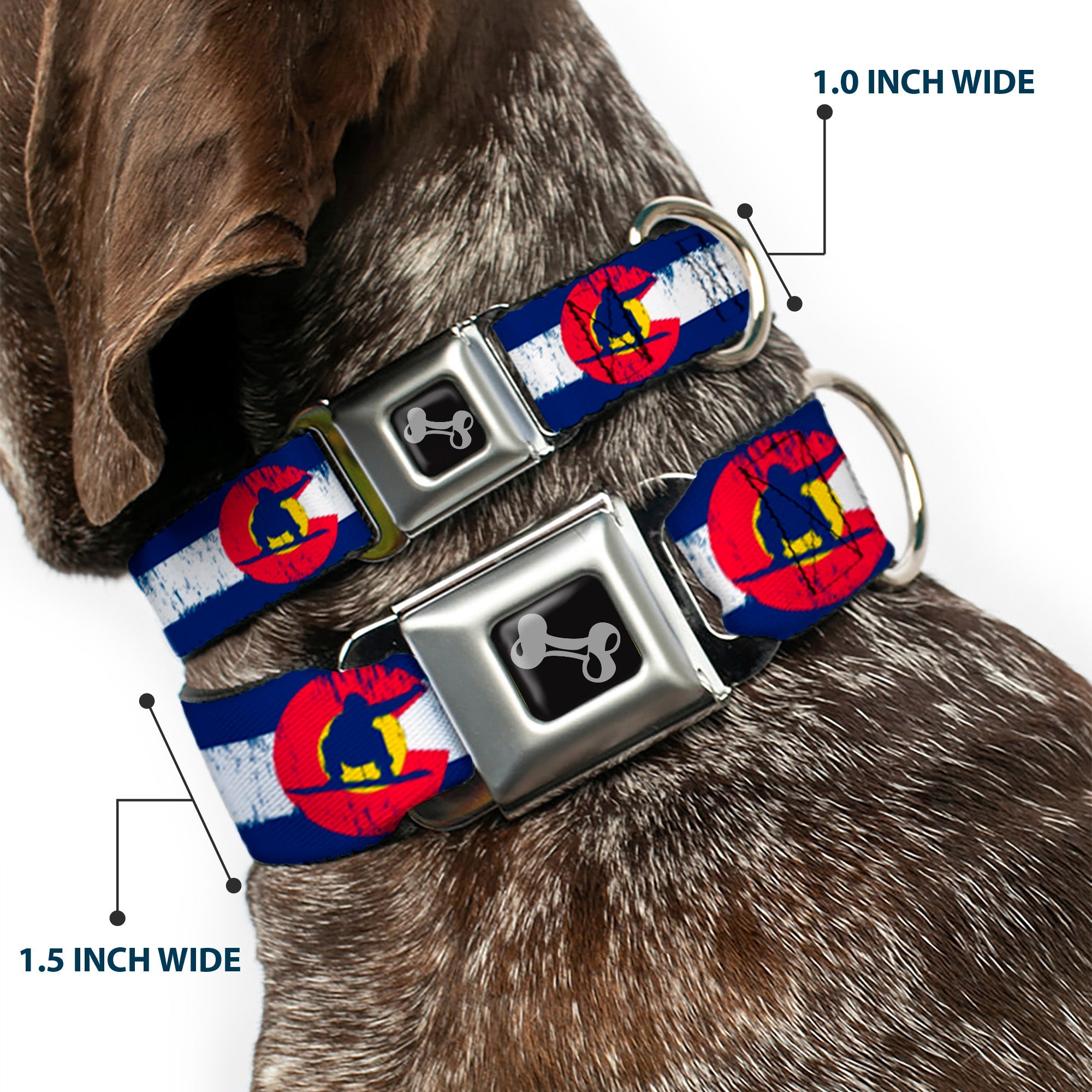 Dog Bone Seatbelt Buckle Collar - Colorado Flag/Snowboarder Weathered