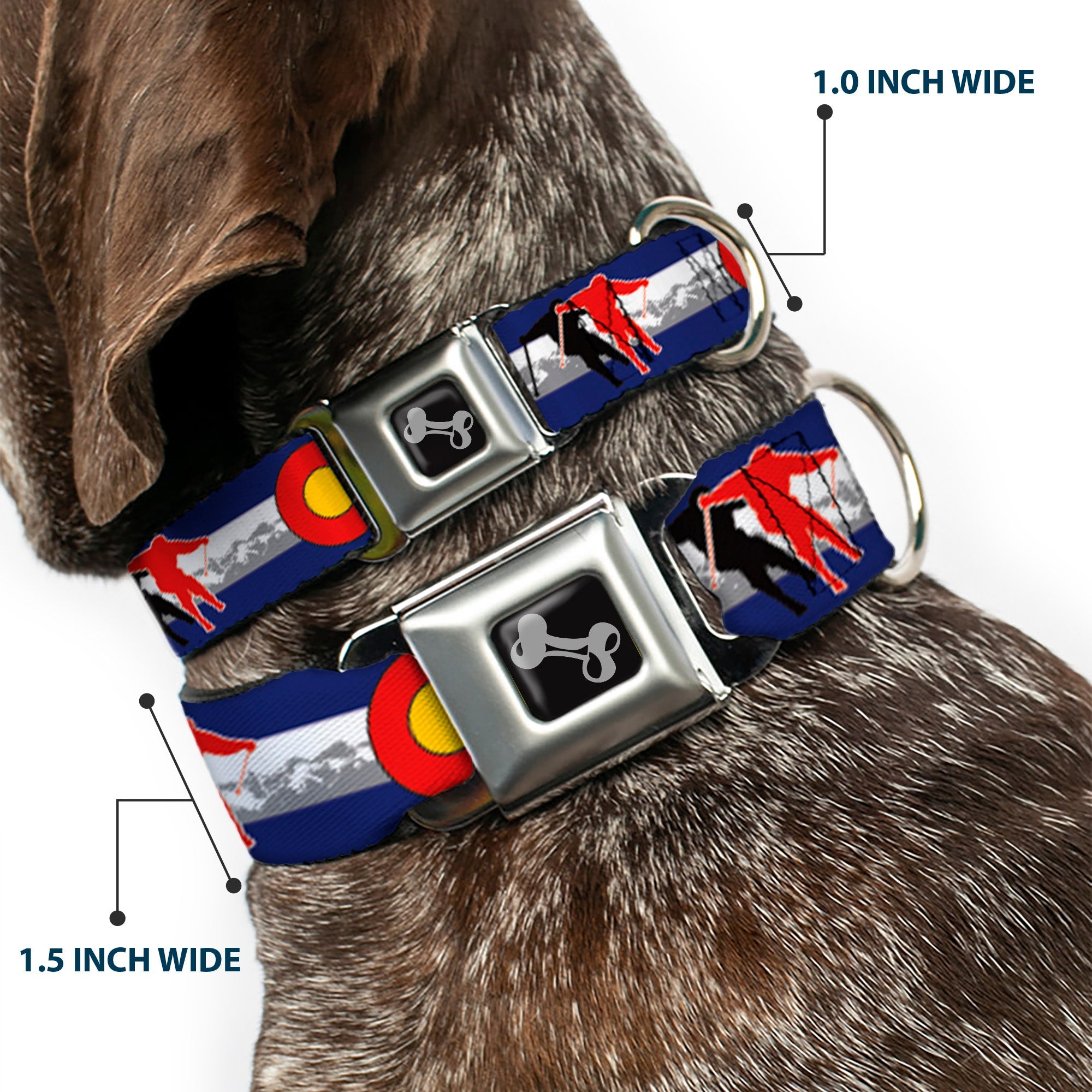 Dog Bone Seatbelt Buckle Collar - Colorado Skier1 Red/Mountains