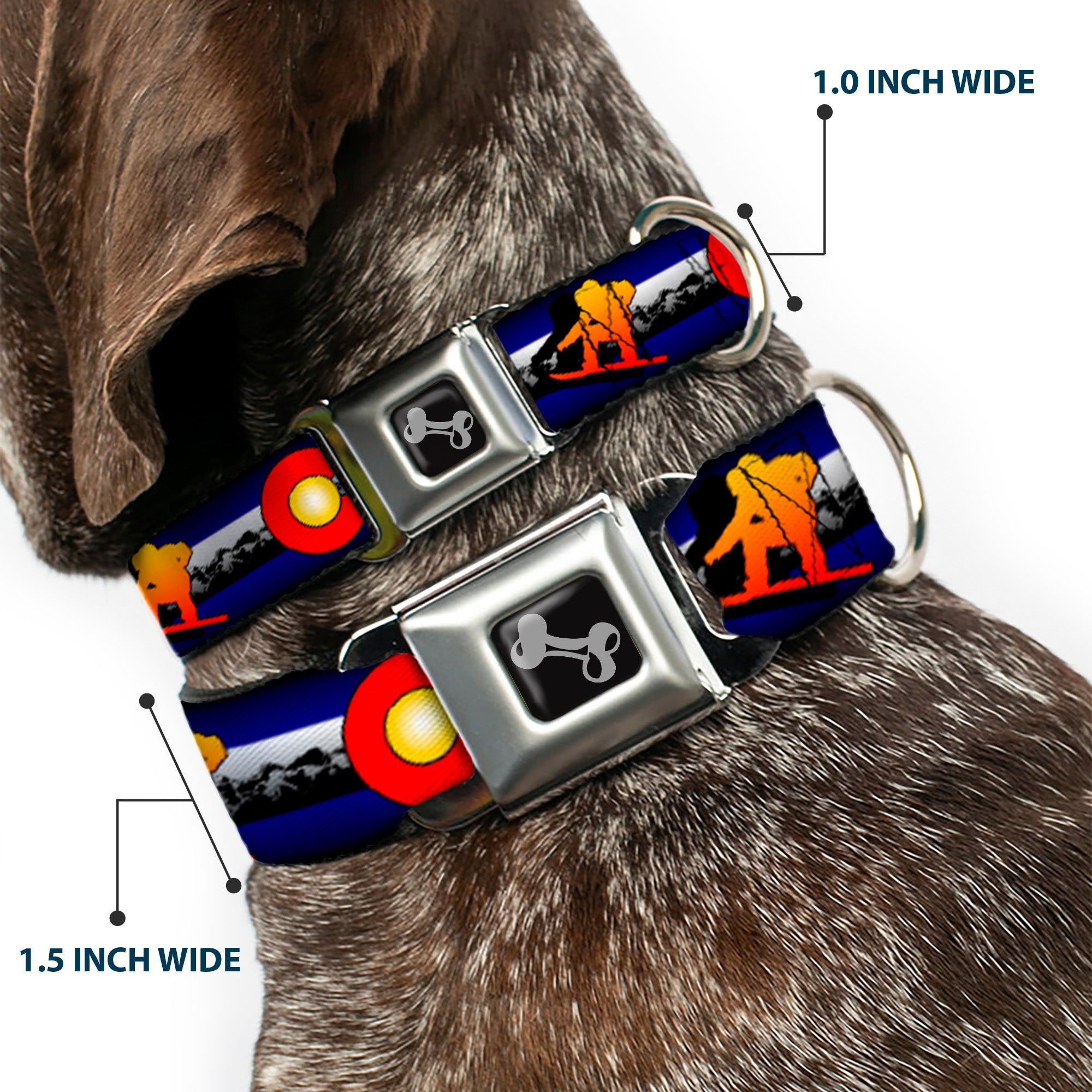 Dog Bone Seatbelt Buckle Collar - Colorado Snowboarder3 Orange/Mountians