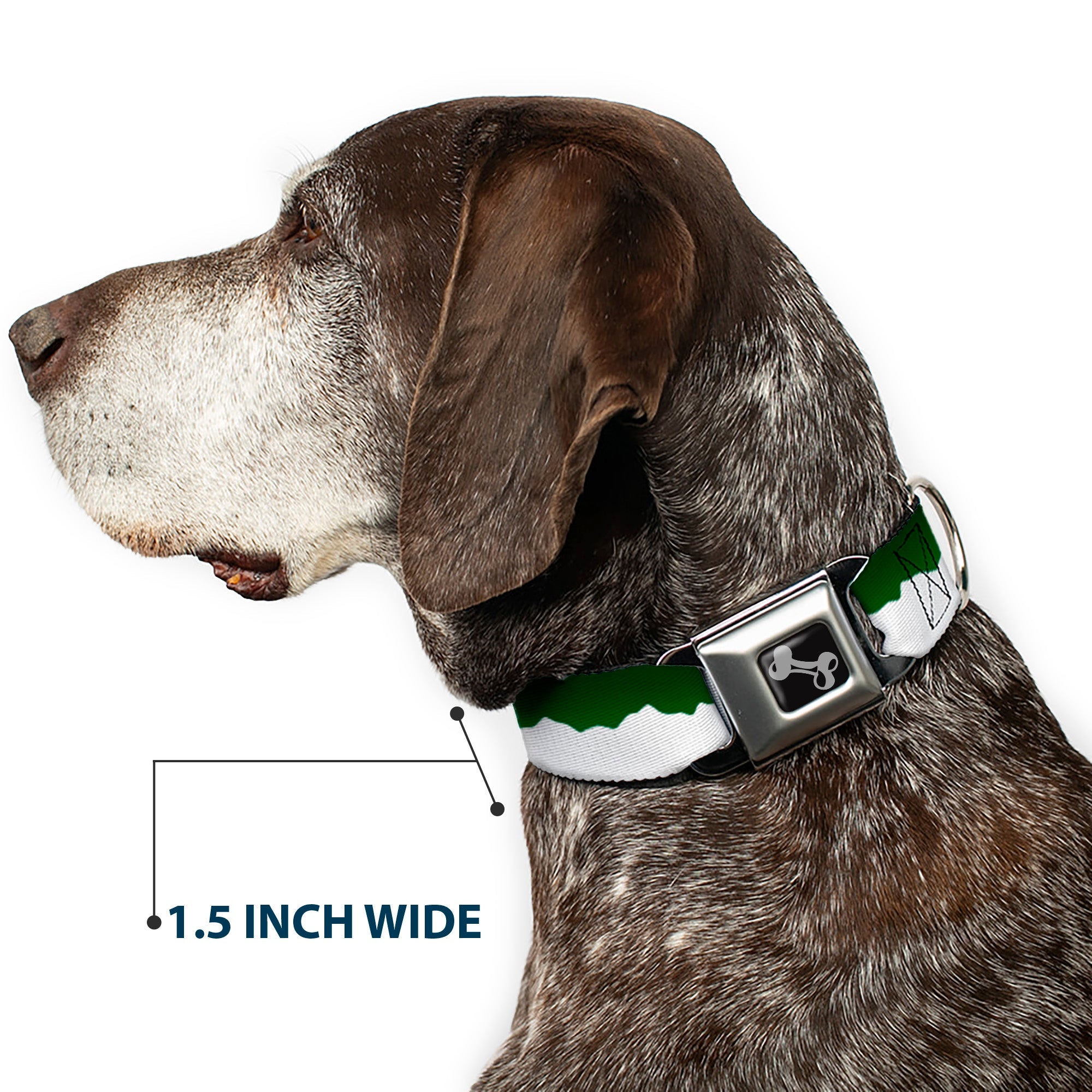 Dog Bone Seatbelt Buckle Collar - Colorado Solid Mountains Green/White
