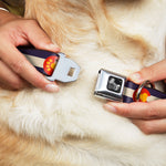 Dog Bone Seatbelt Buckle Collar - Colorado Flag/Paw Print